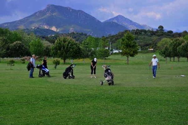 Photo 30