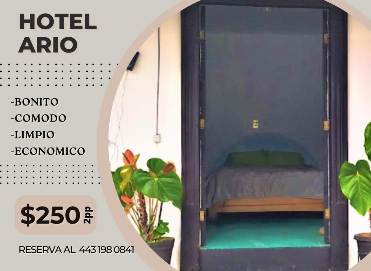 Hotel Ario