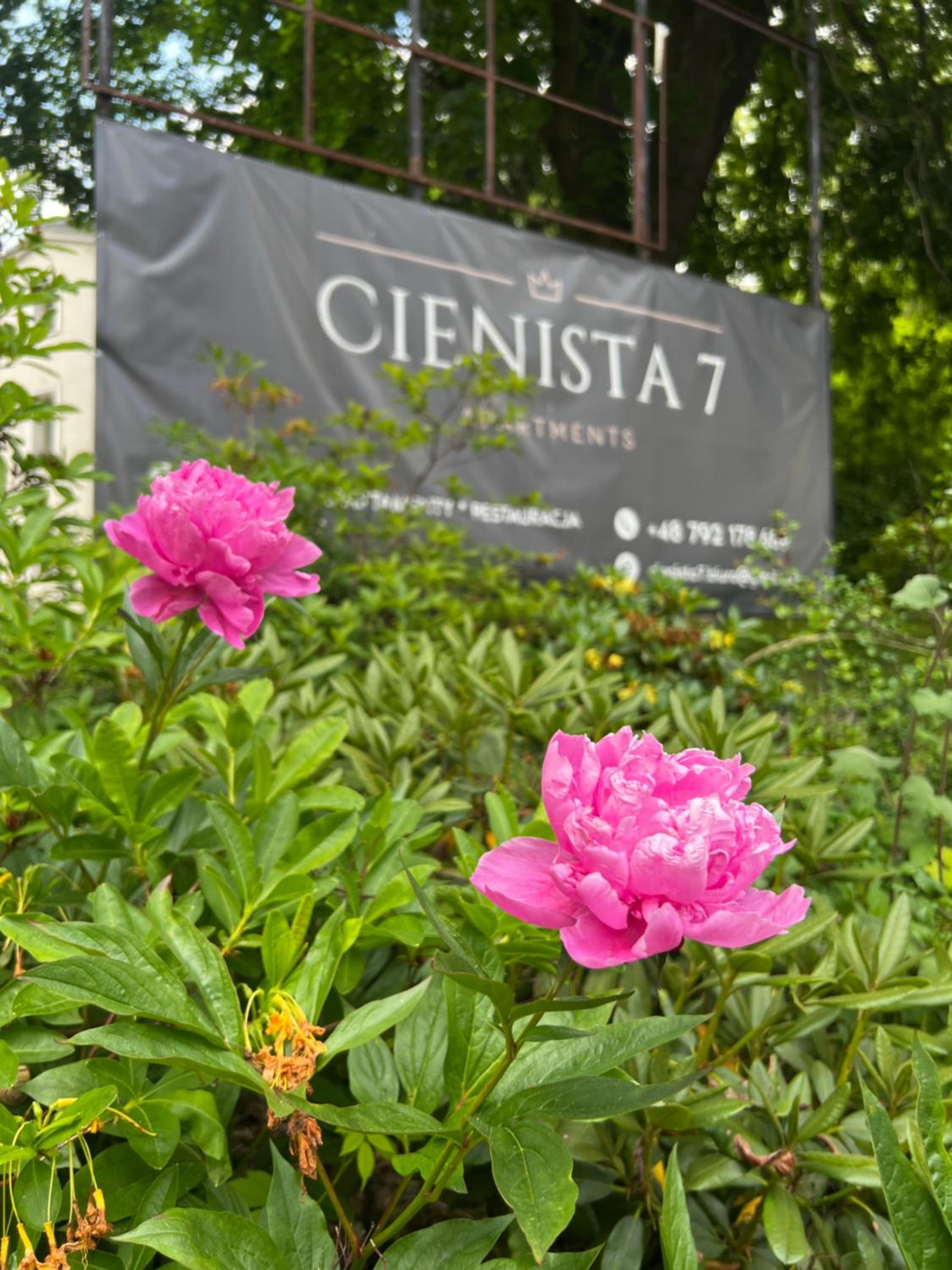 CIENISTA 7 APARTMENTS view 2