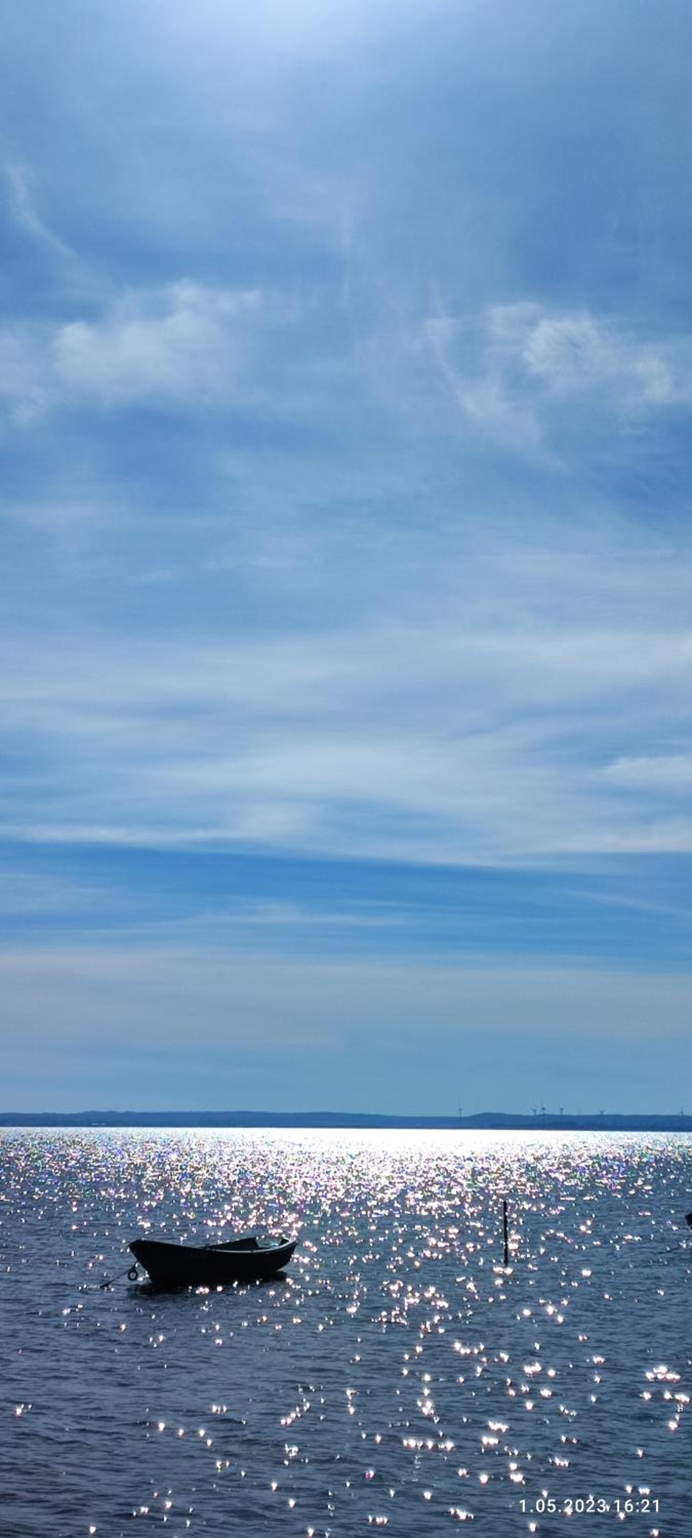 Photo 45