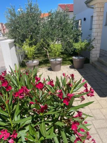 Photo 24