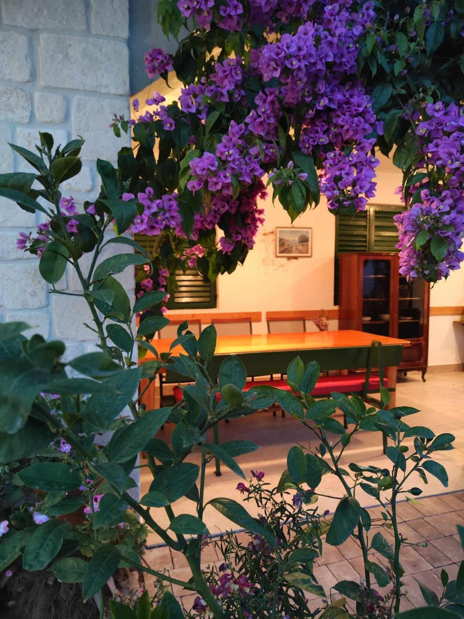 Apartmani Grubelić - komforan novi apartman