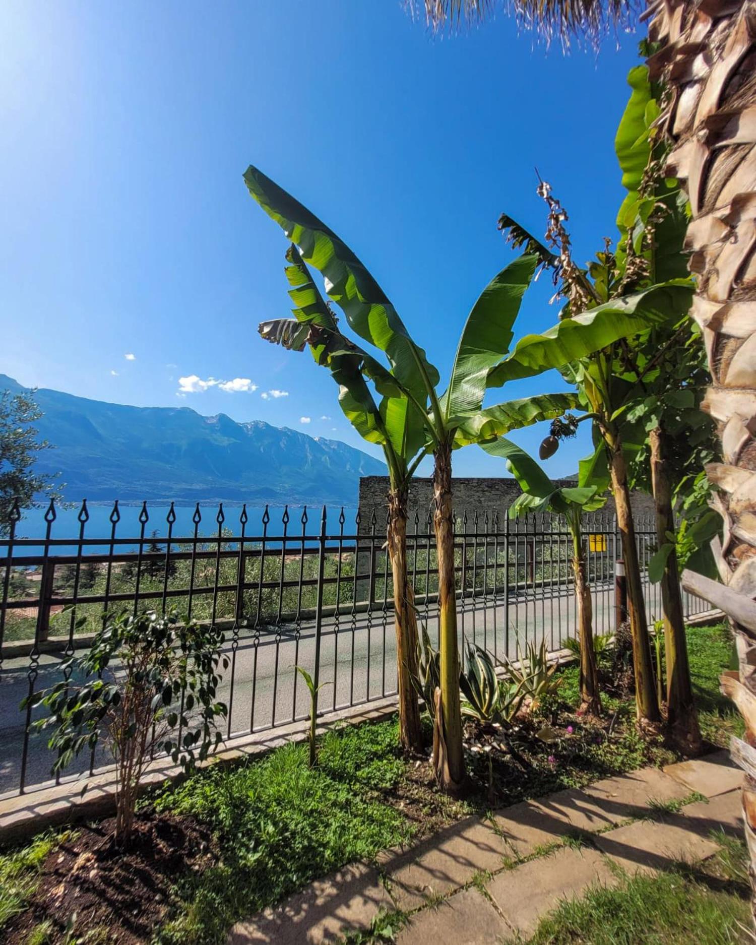 Villa Fior di Loto