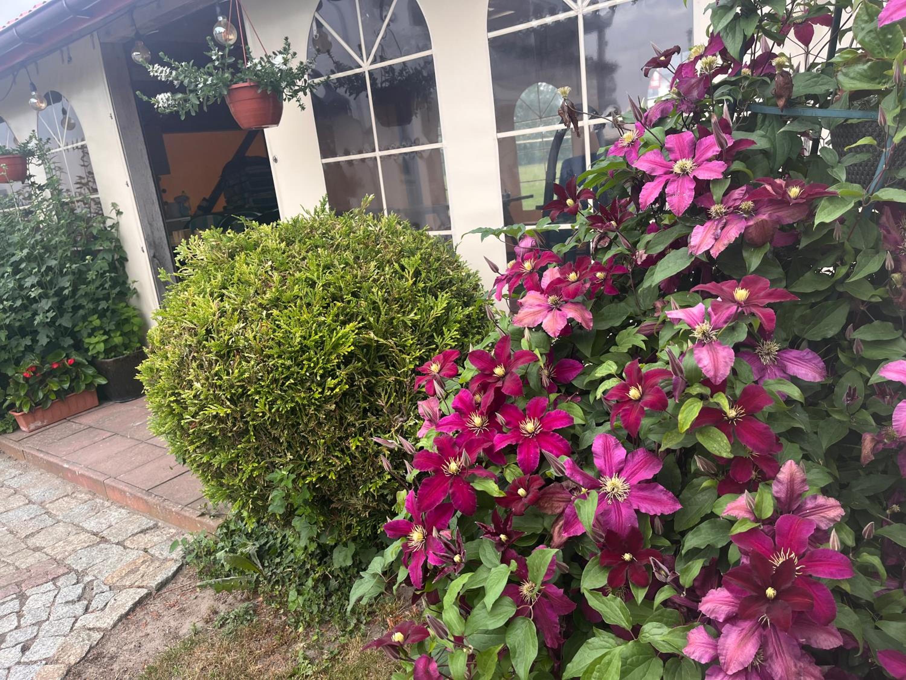 Photo 42