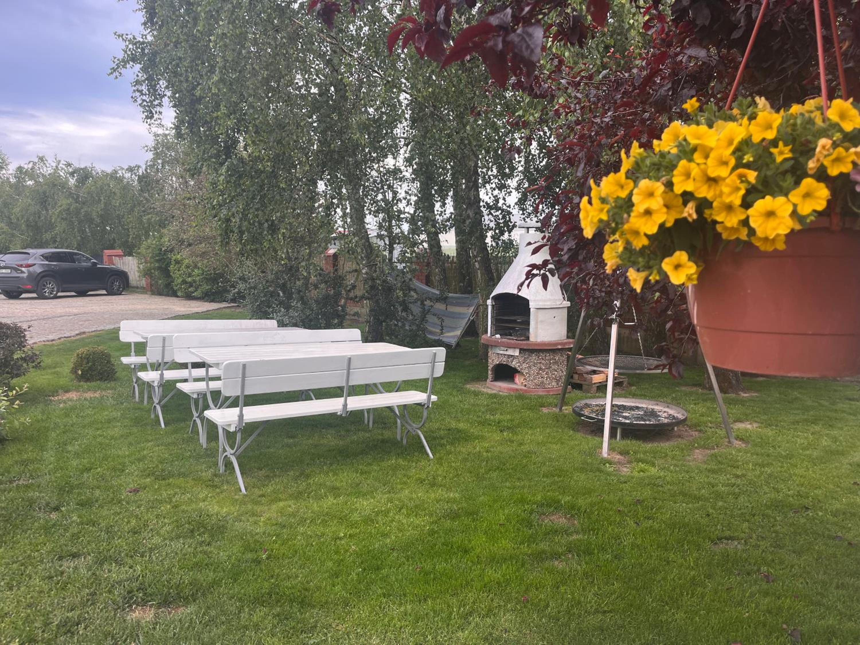 Photo 37