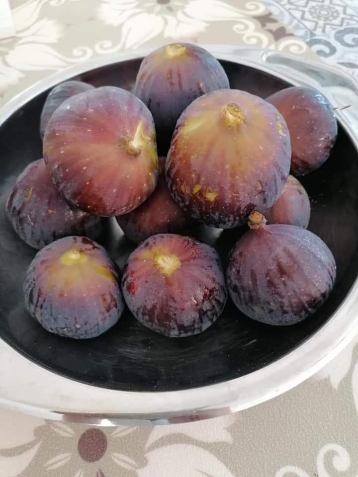 Il Mirto Blu