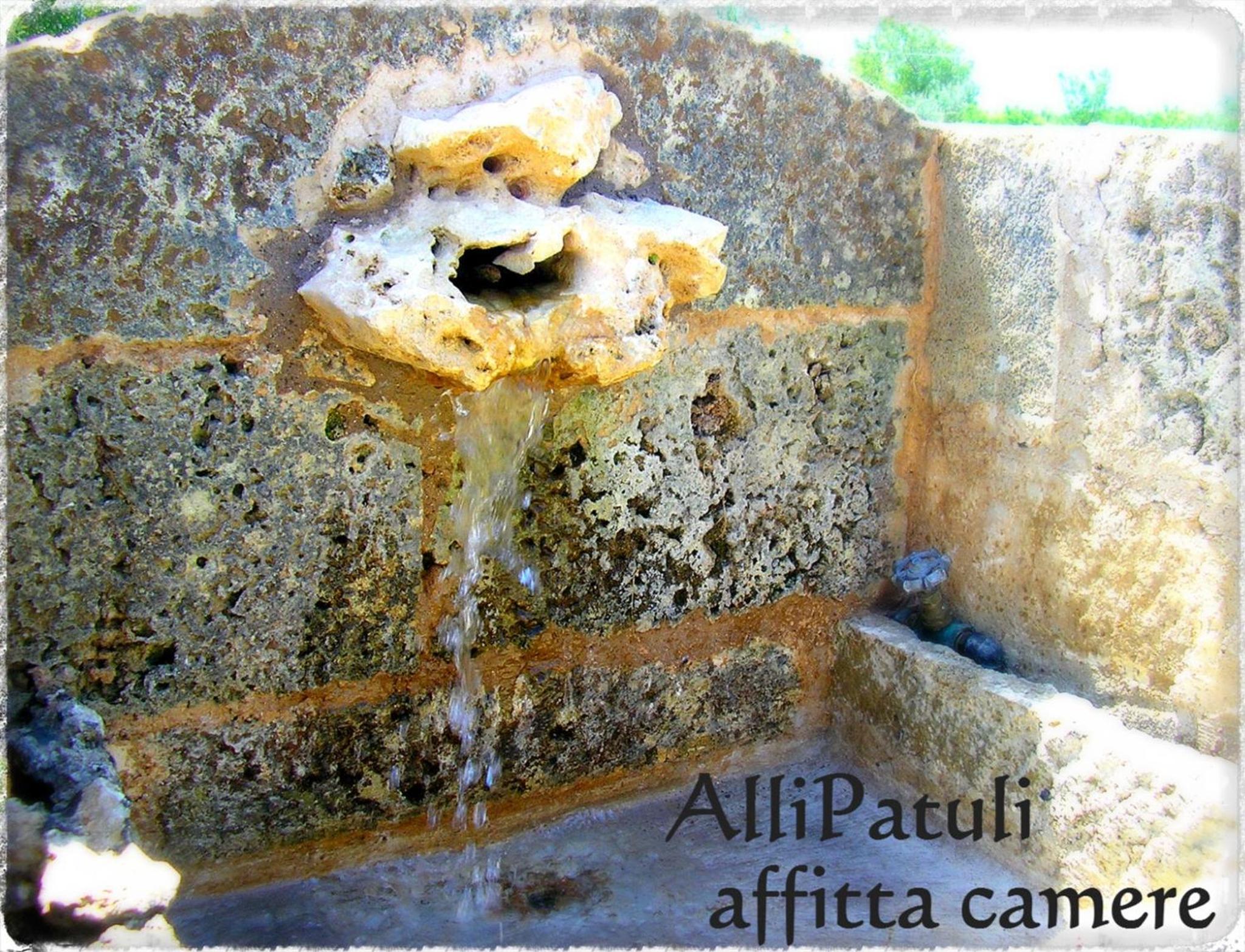 AlliPatuli Apartments