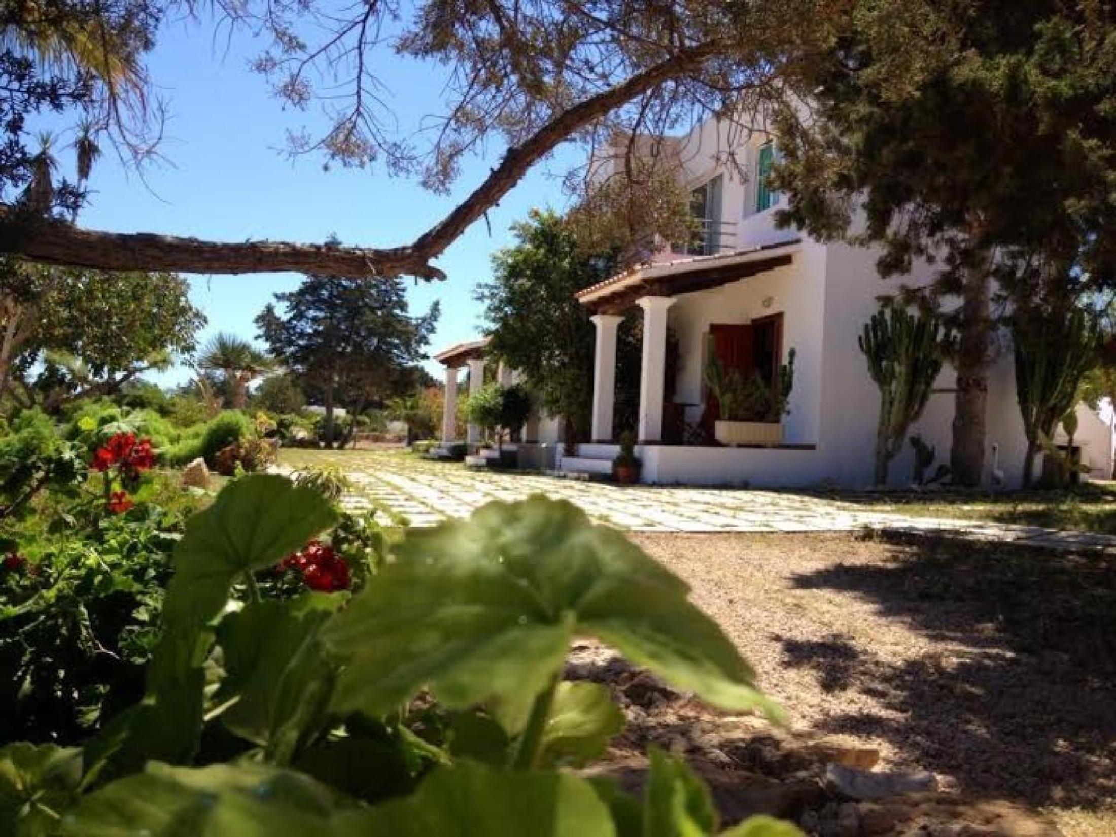 garden