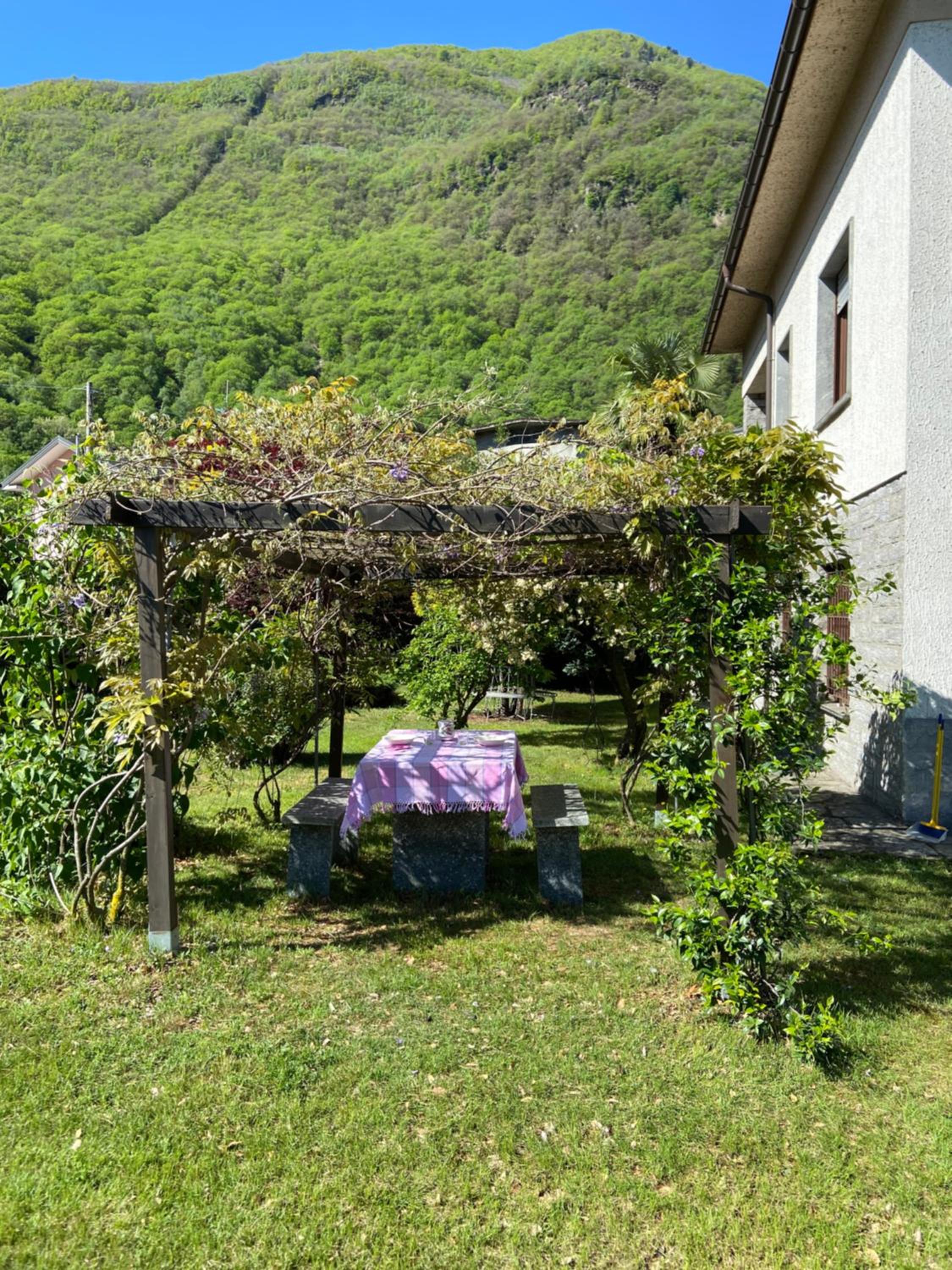 Photo 26