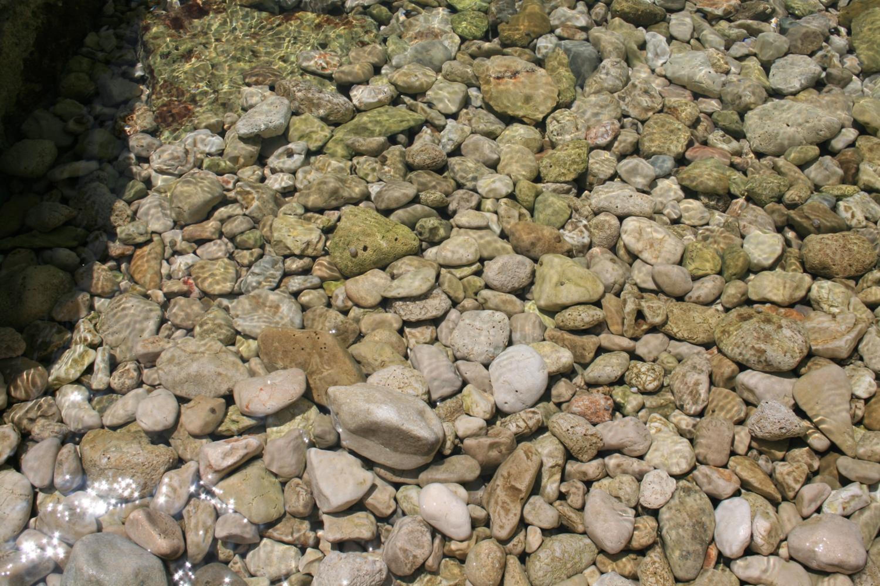 Photo 36