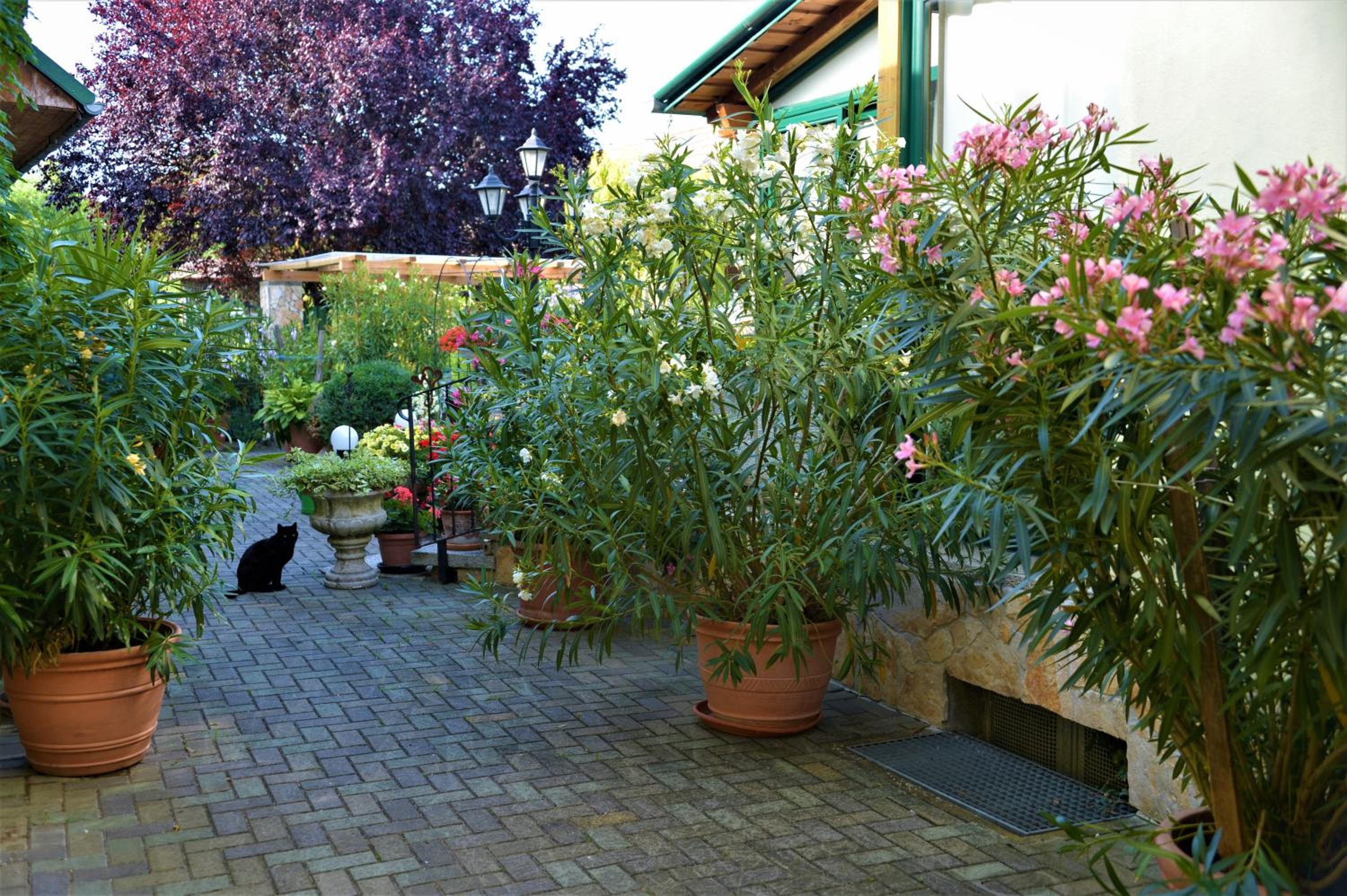 Photo 29