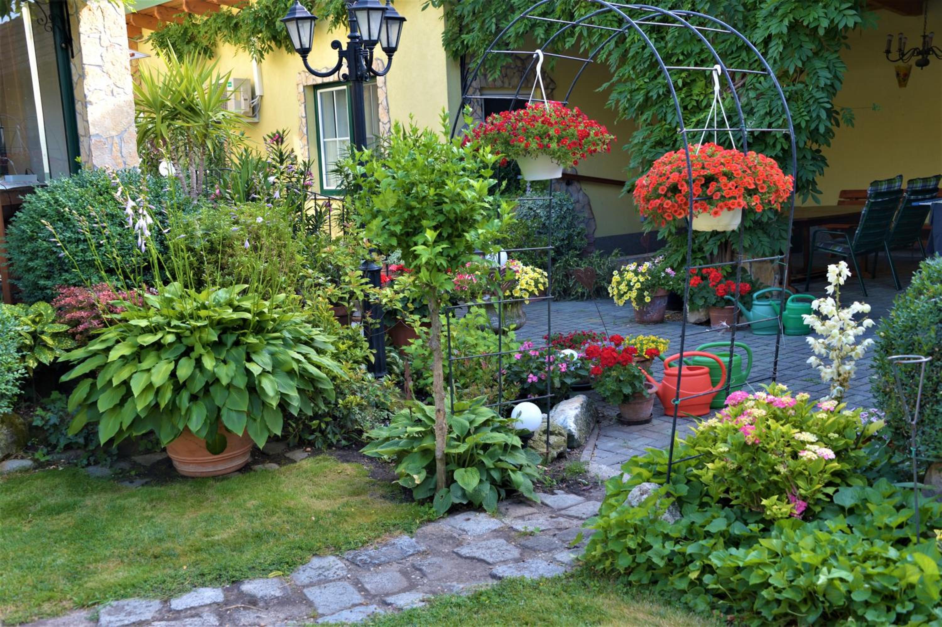 Photo 44