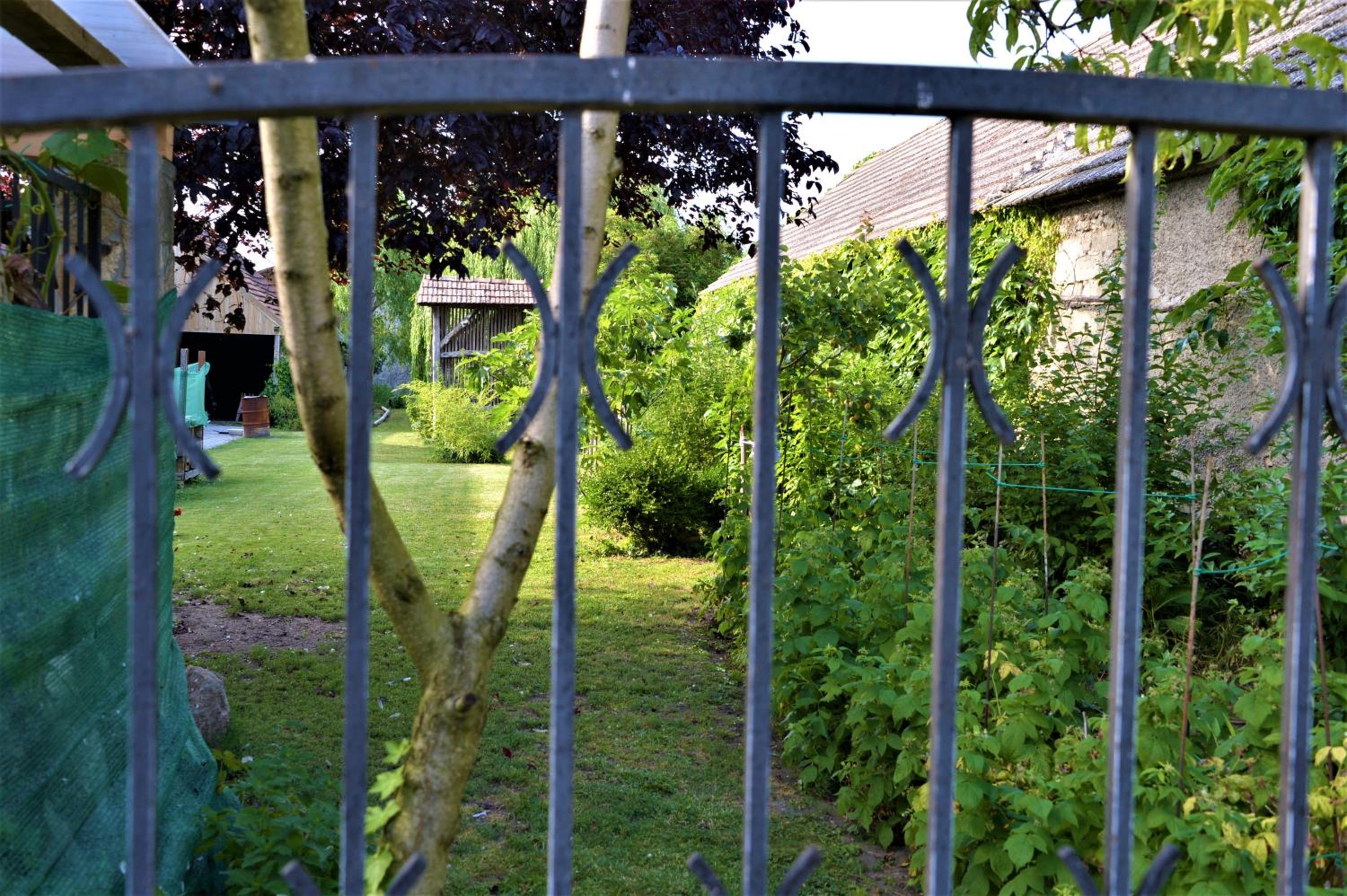 Photo 43