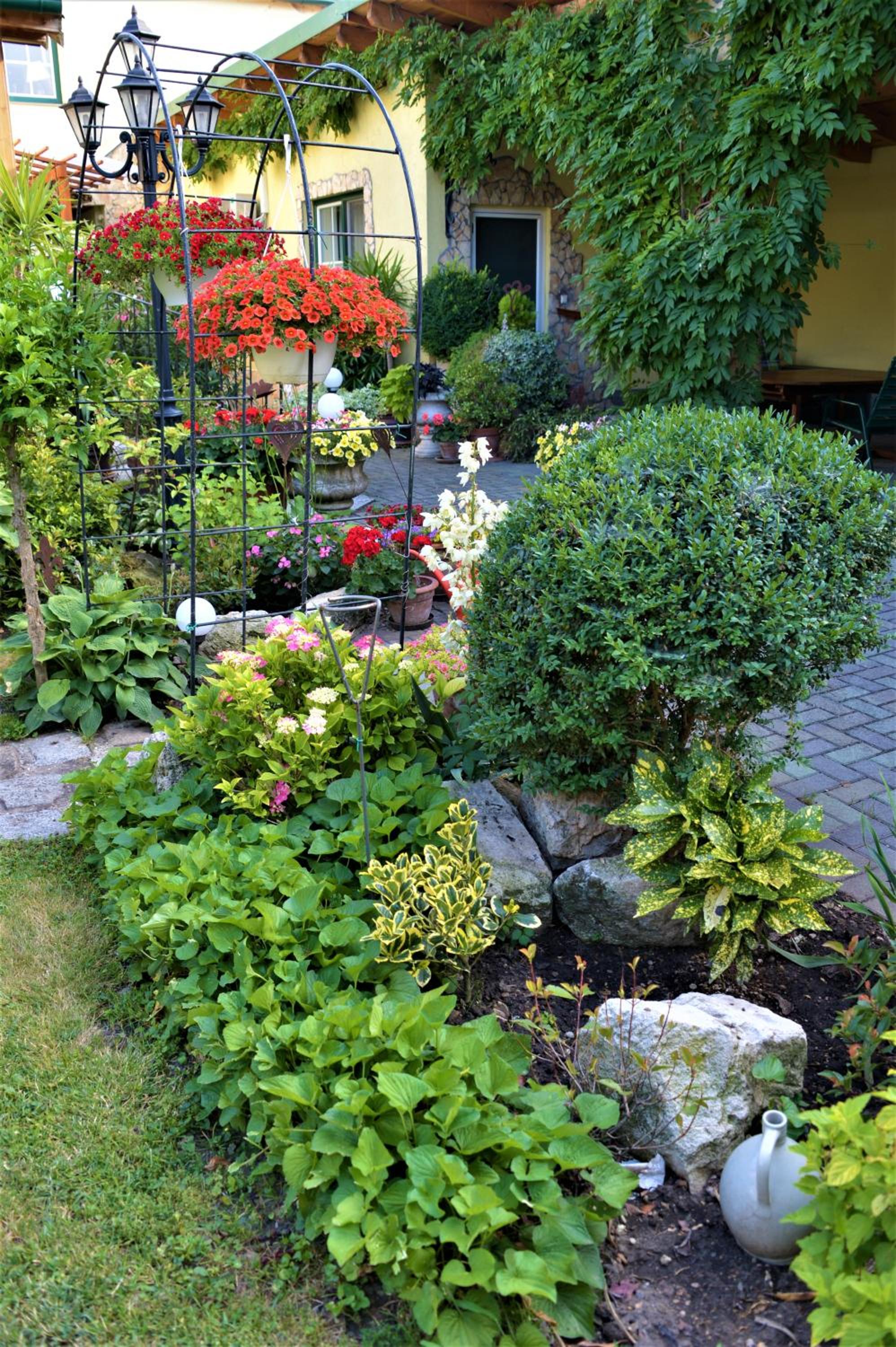 Photo 42