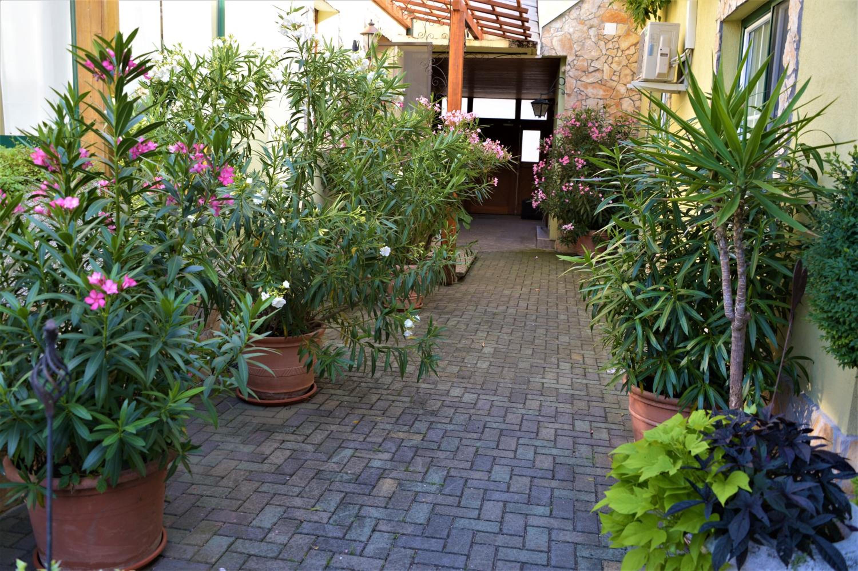 Photo 45