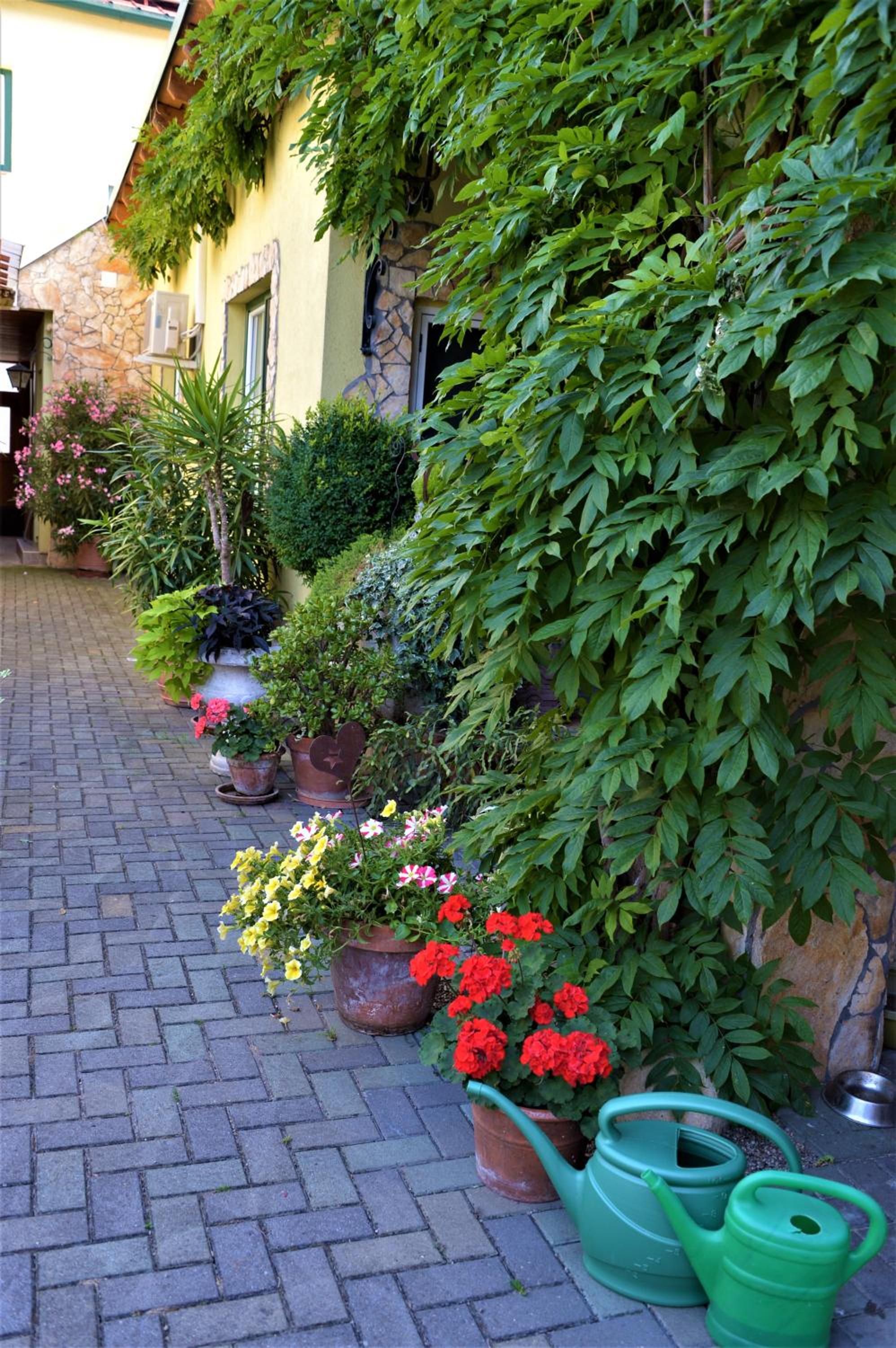 Photo 47