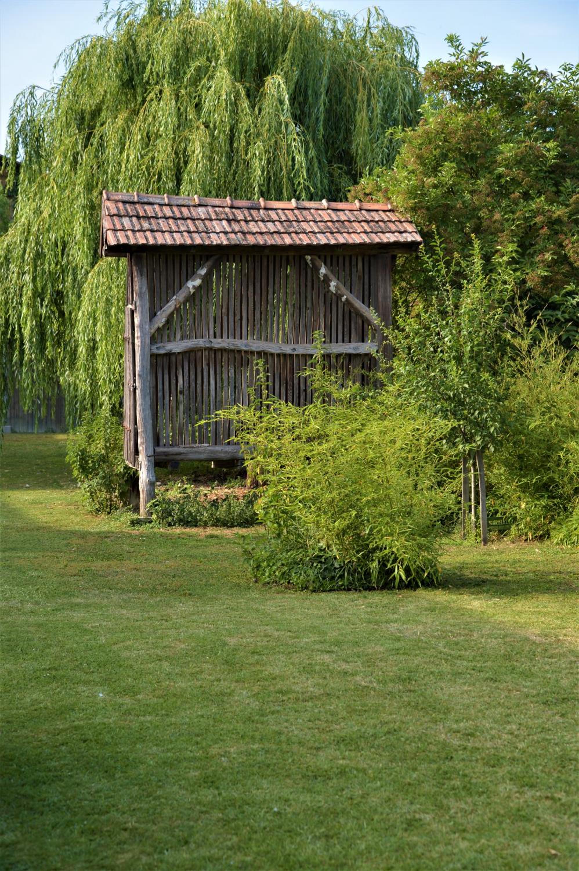 Photo 23