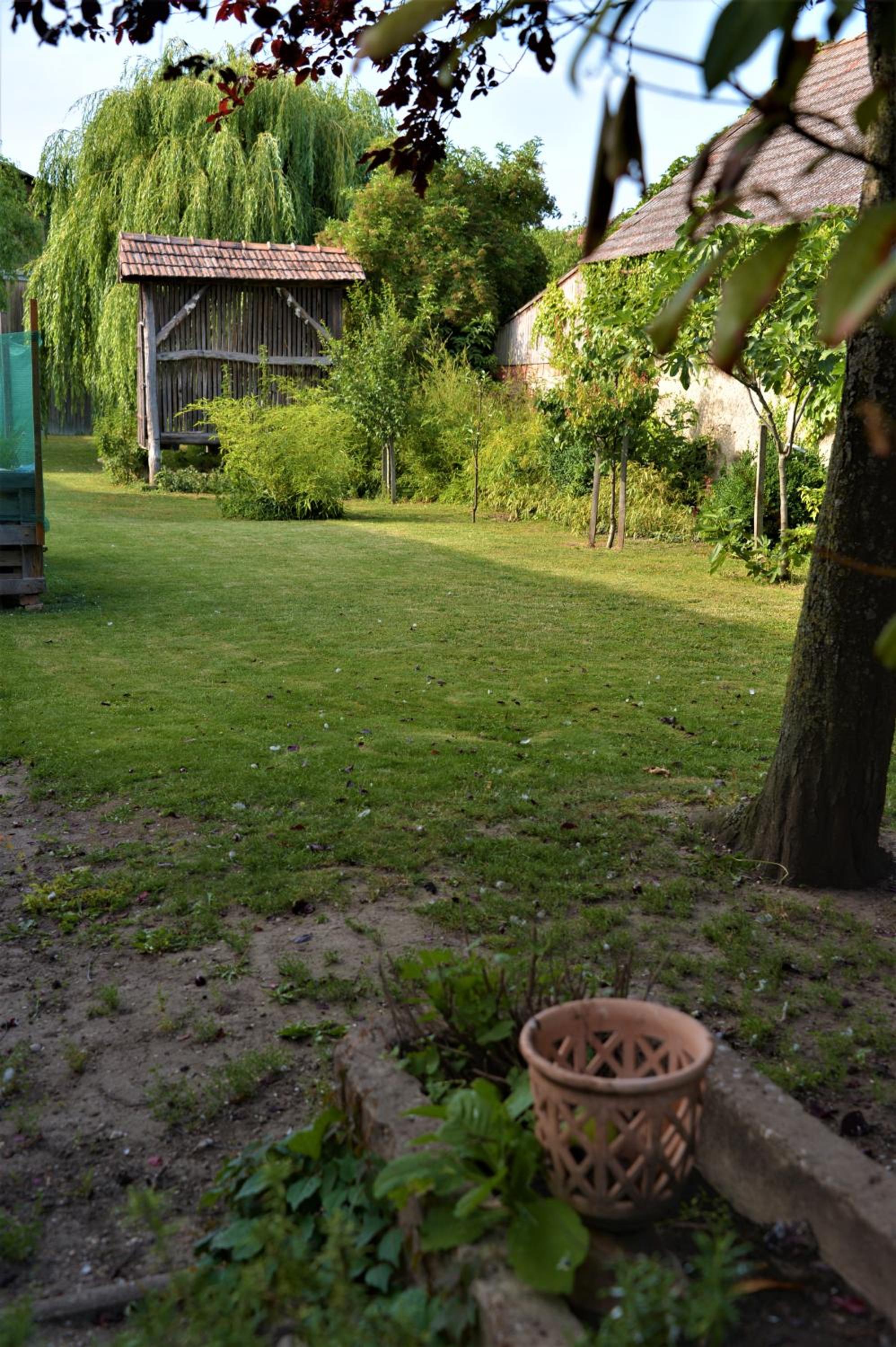 Photo 24