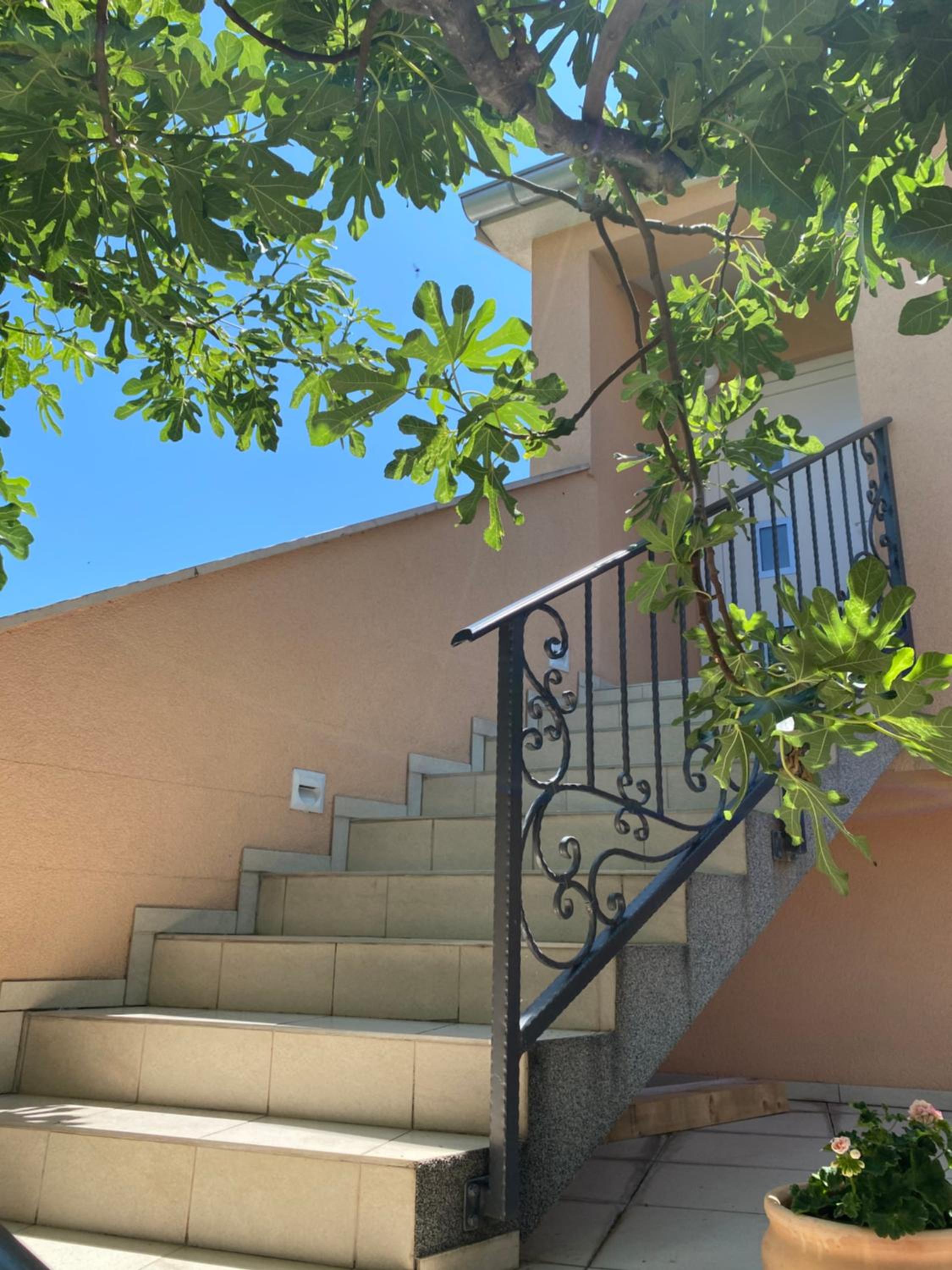 Guest House Lorenta view 4
