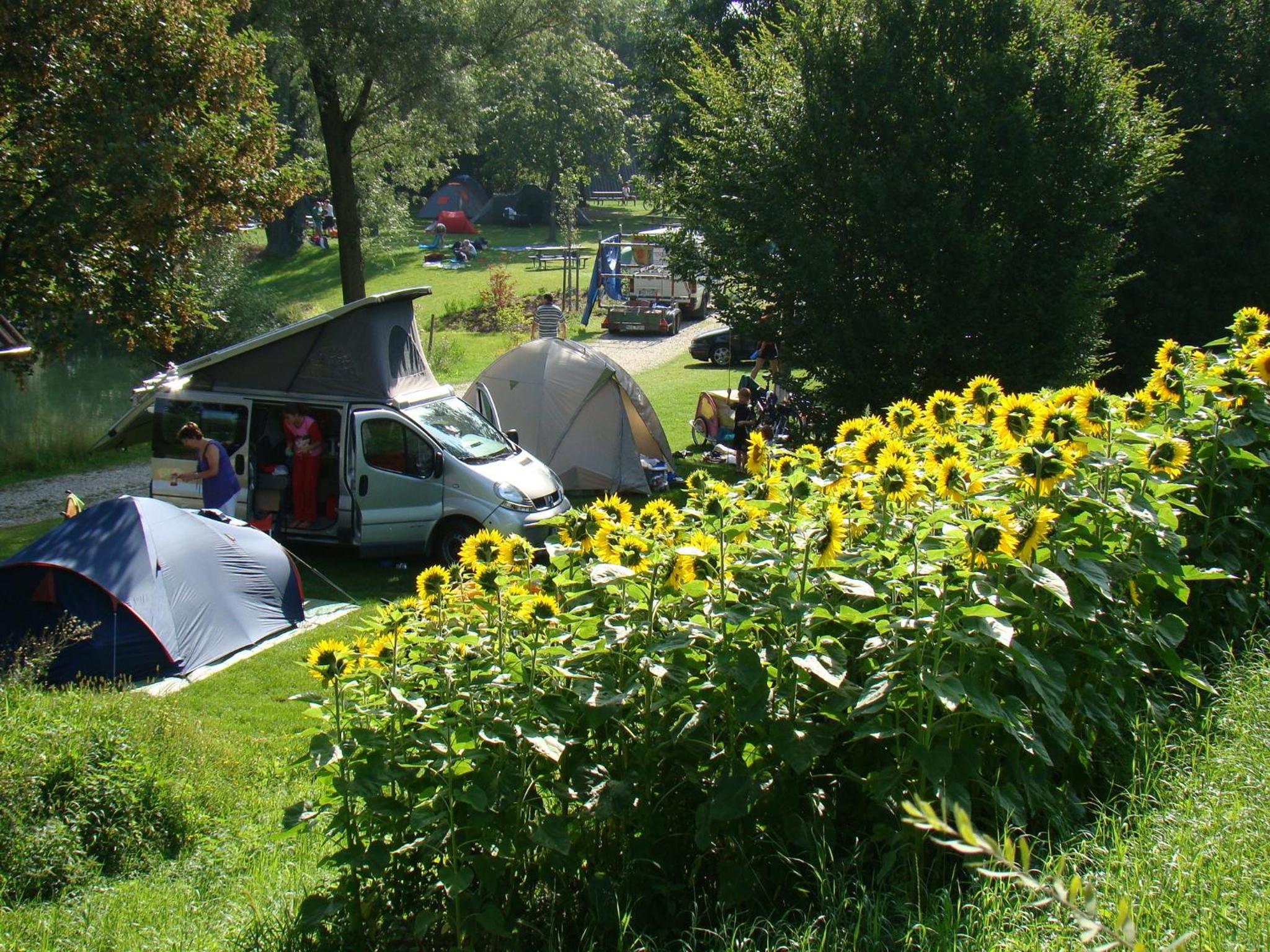 Camping & Pension Au an der Donau
