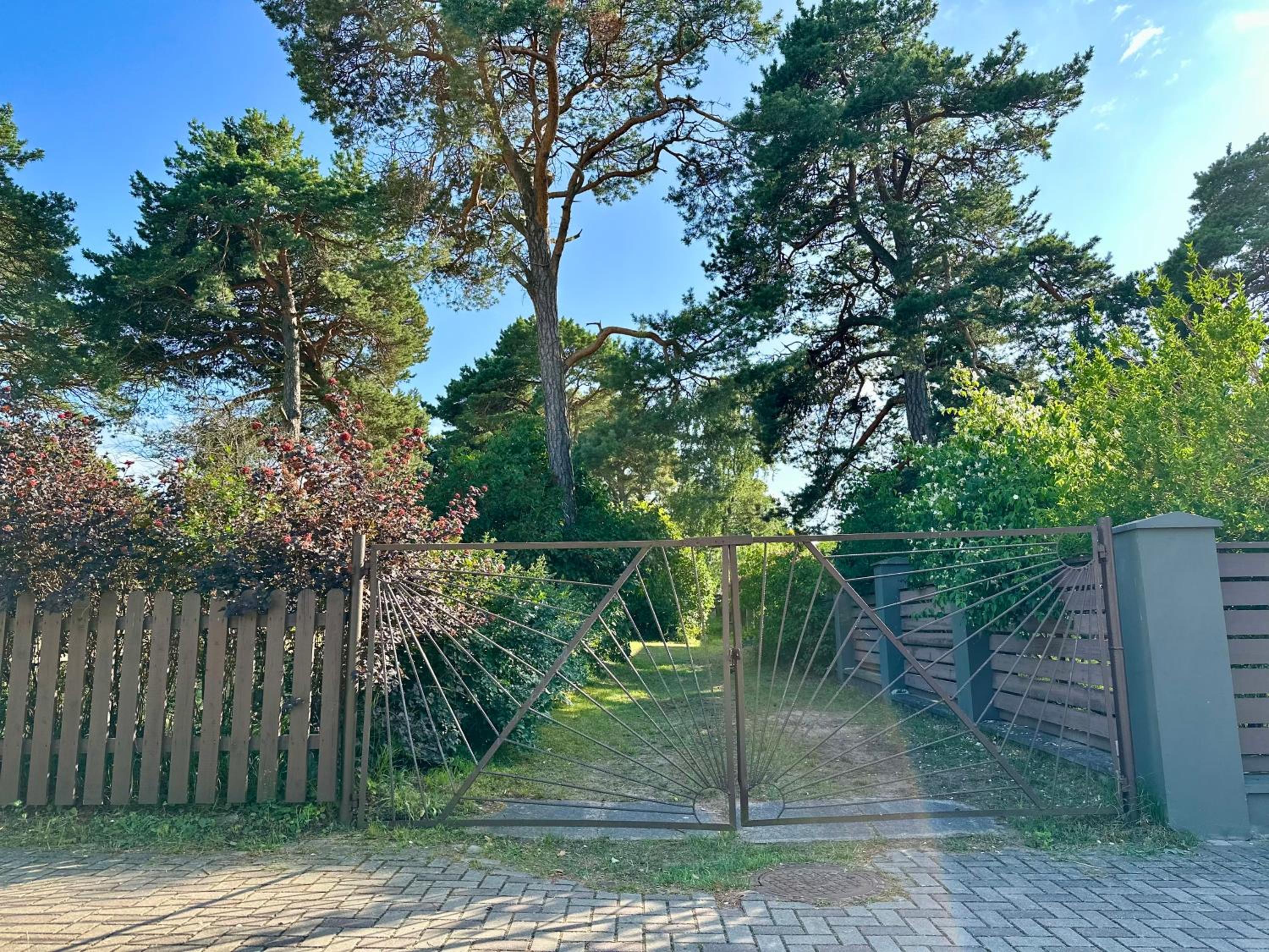 Photo 44
