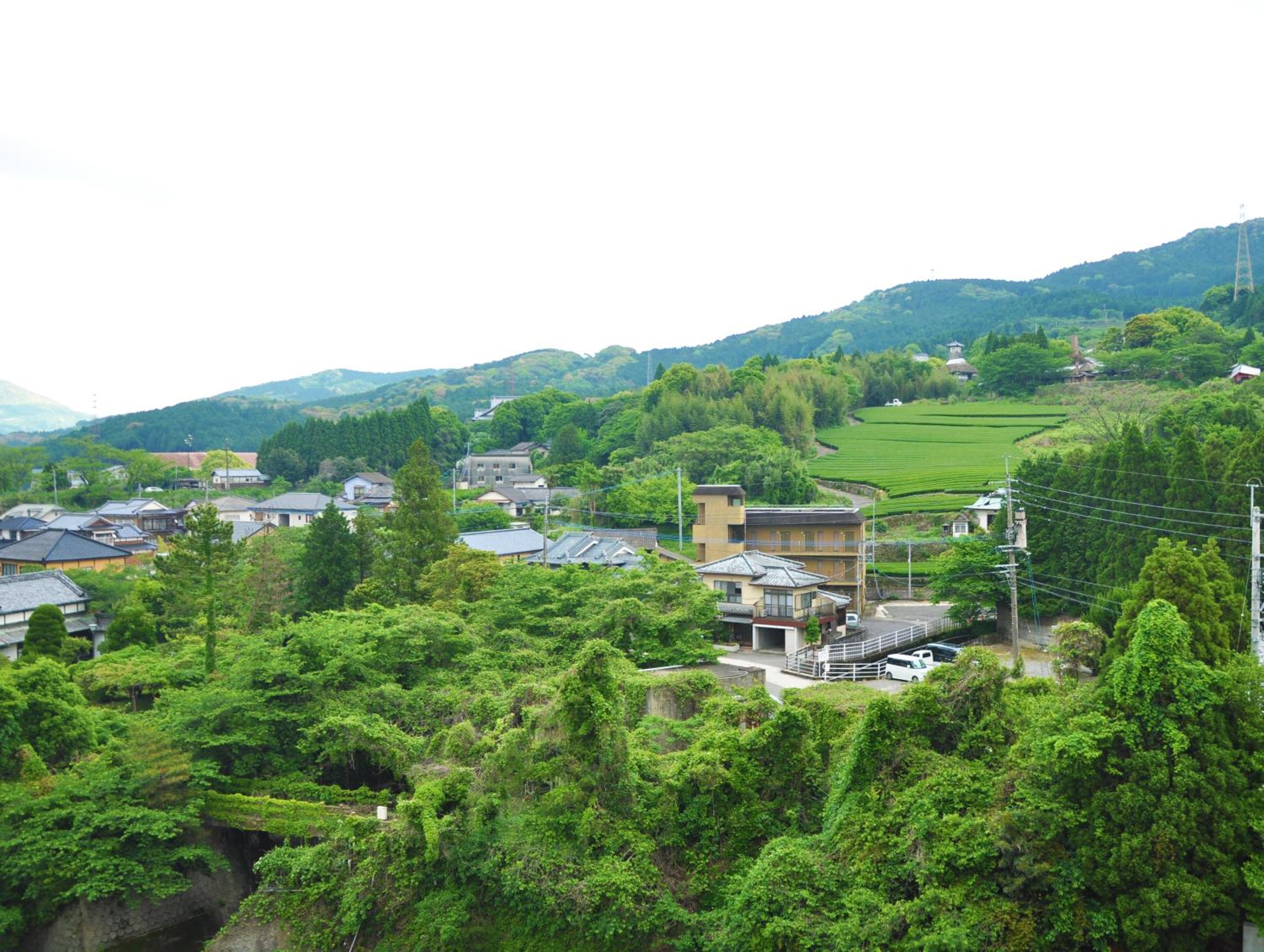 Photo 45