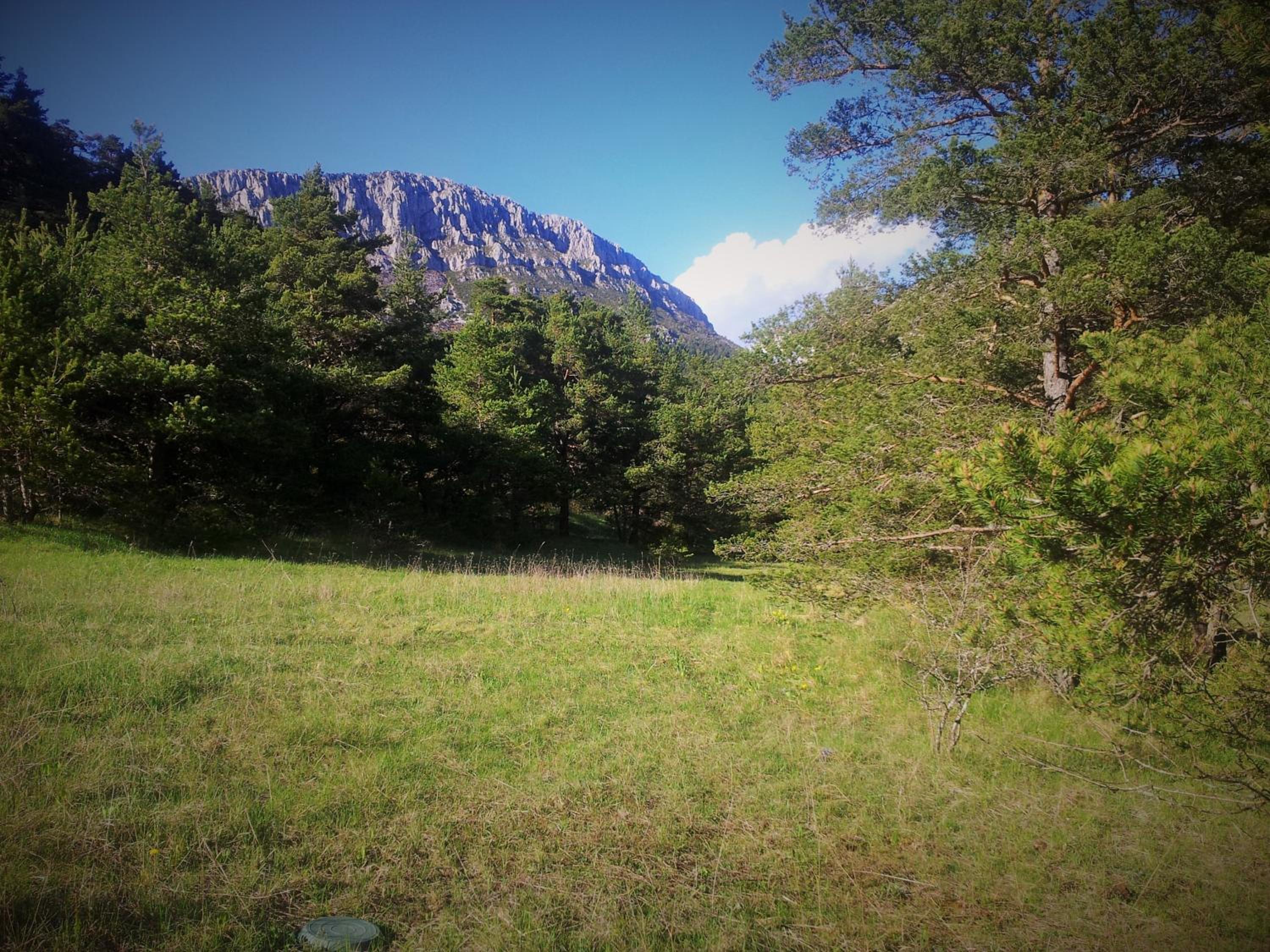 Photo 42