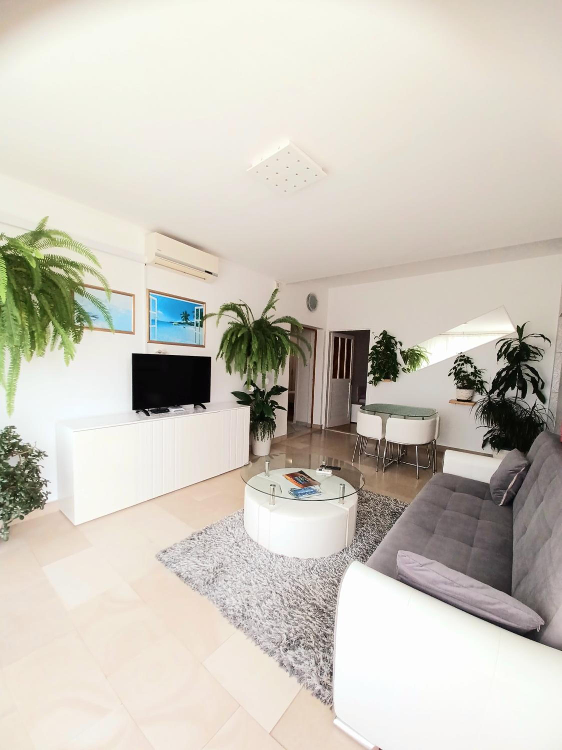 Apartment Eva