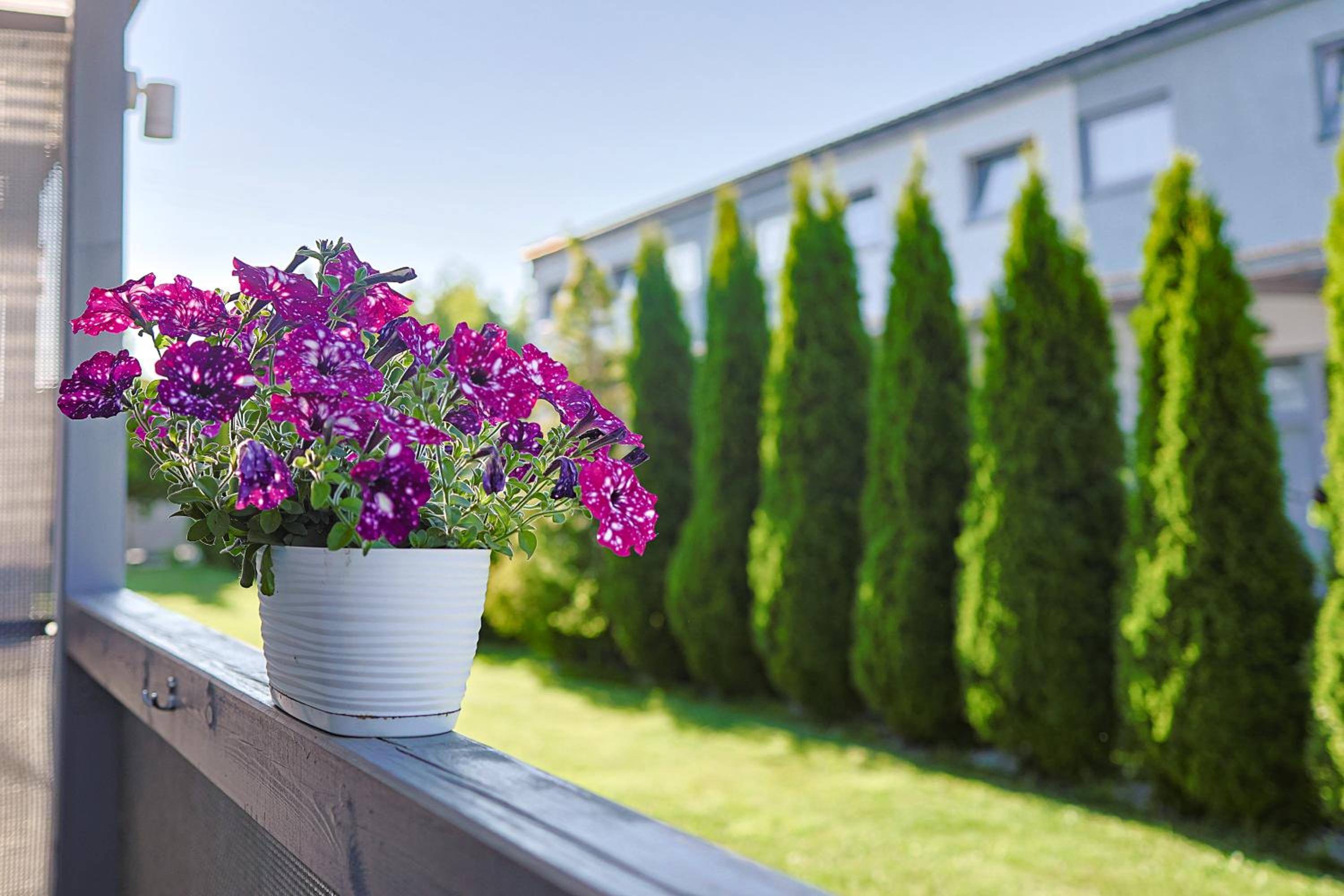 balcony