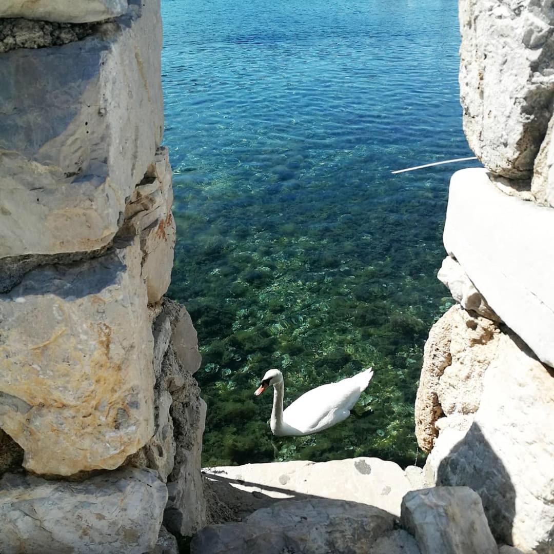Apartmani Grubelić - komforan novi apartman