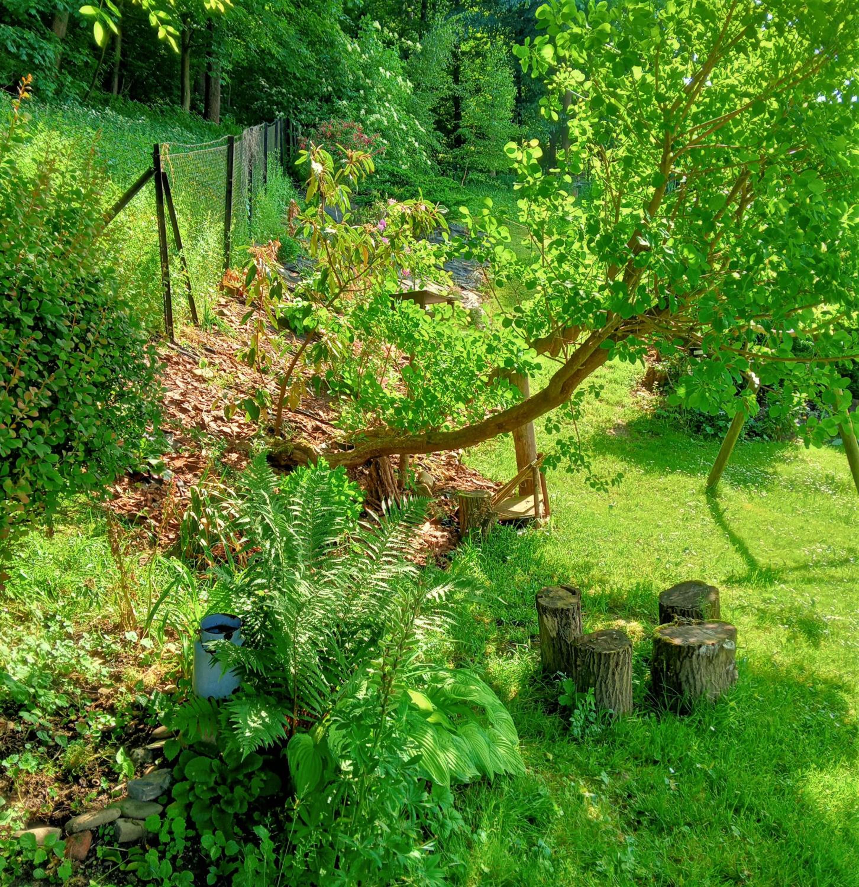 Photo 16