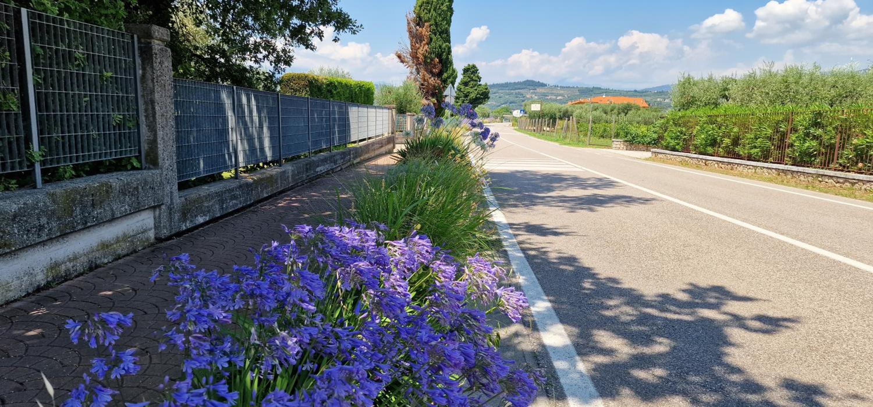 Appartamenti a Bardolino
