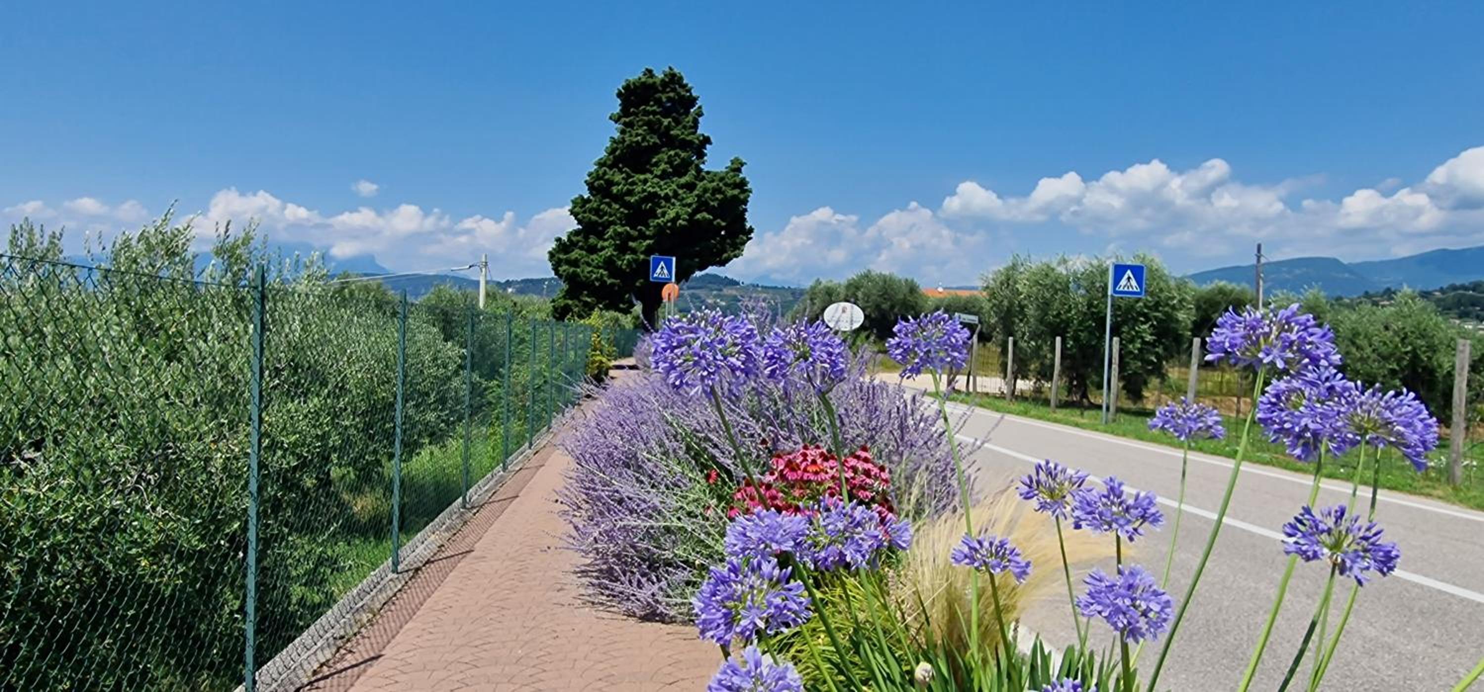 Appartamenti a Bardolino