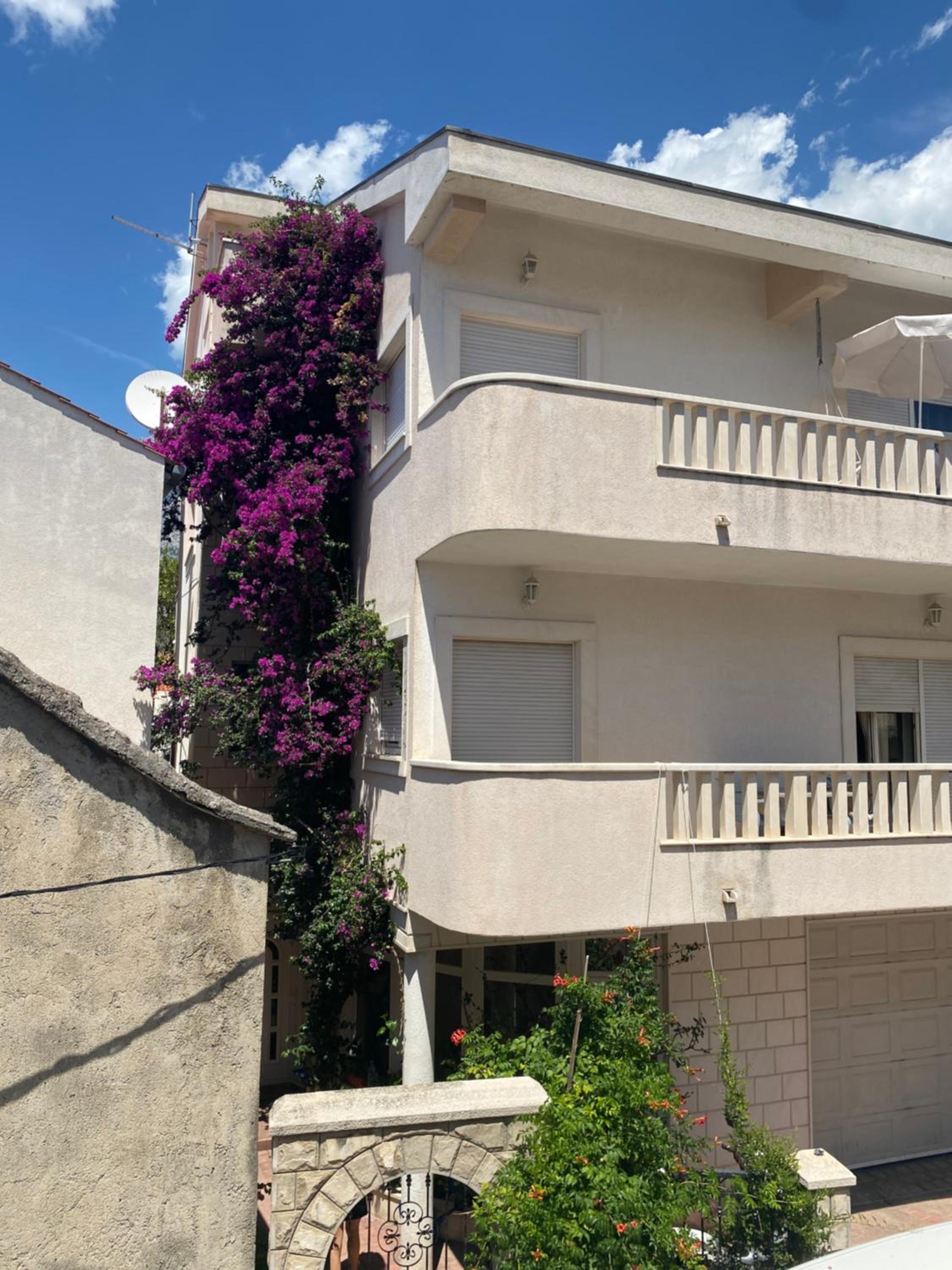 Apartmani IvaMia view 4