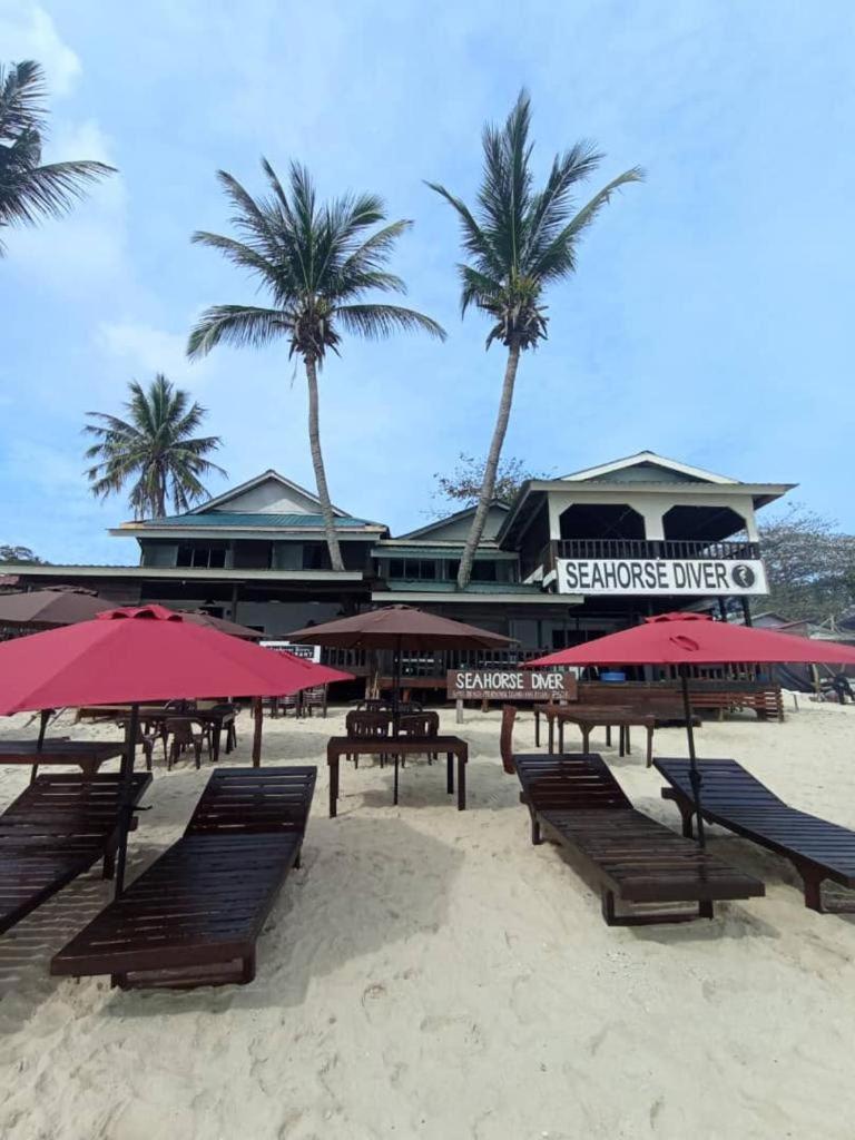 Seahorse Diver Guesthouse photo 1