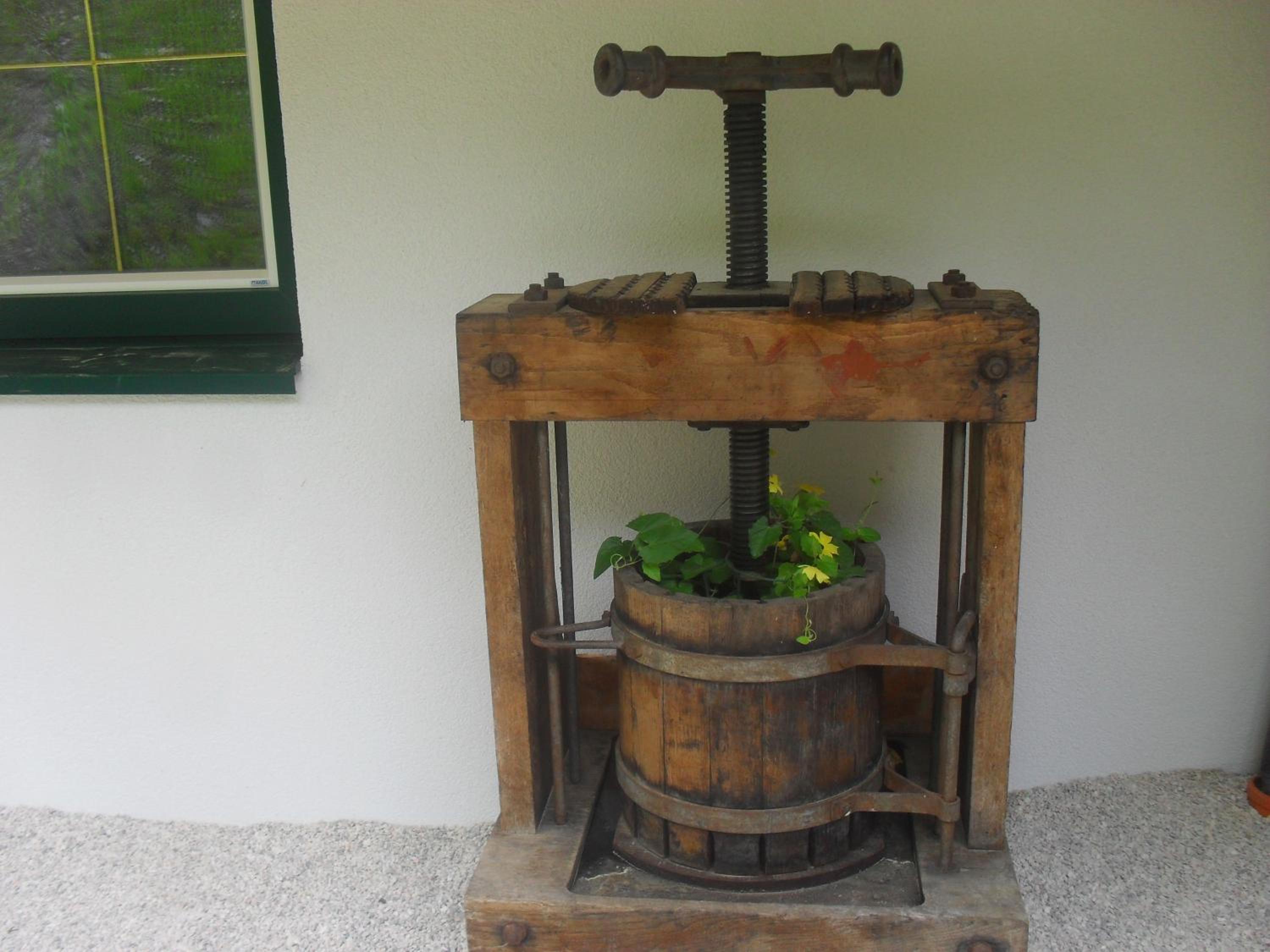 Bio-Bergbauernhof Möslhof