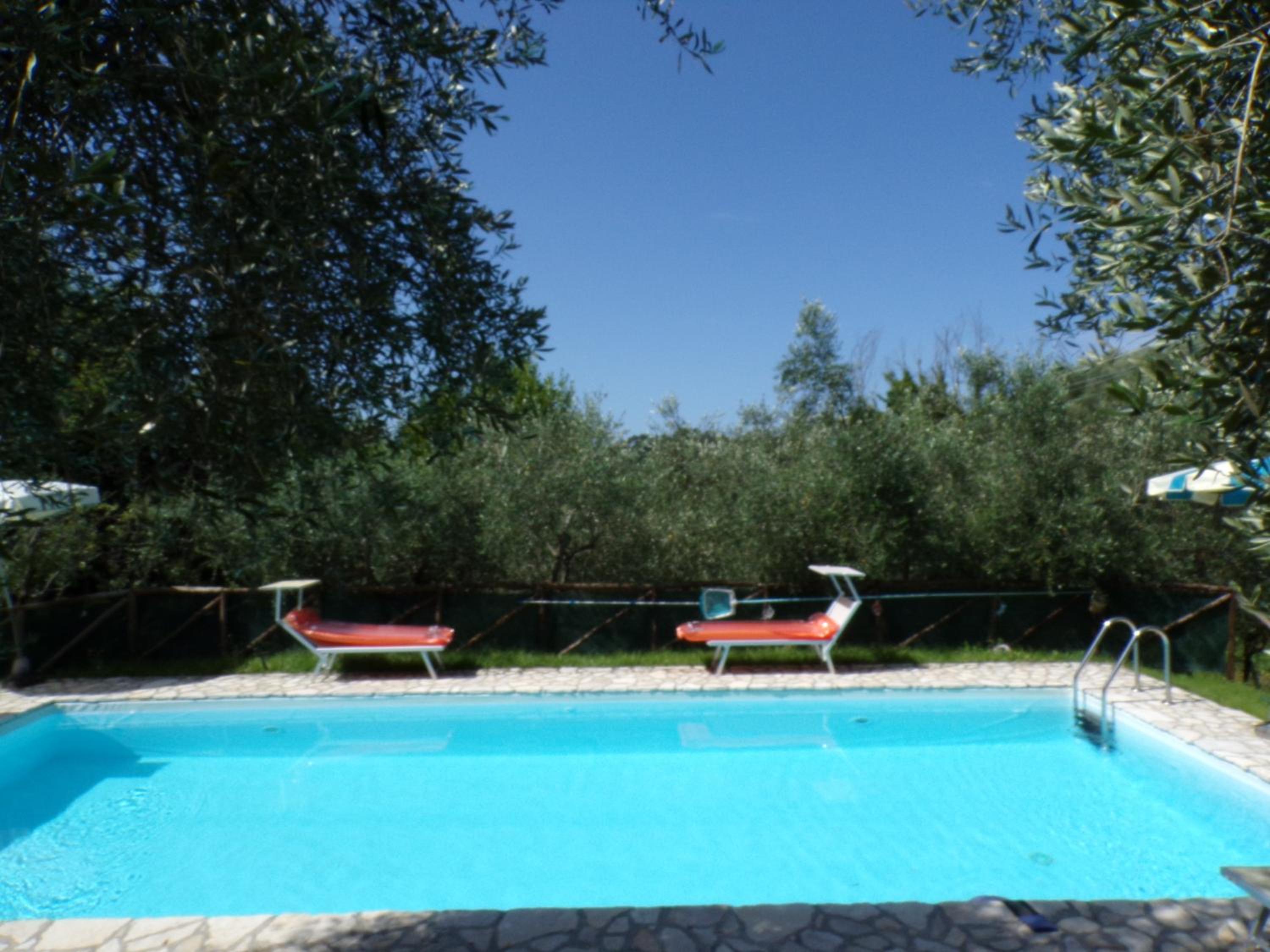 Photo 40