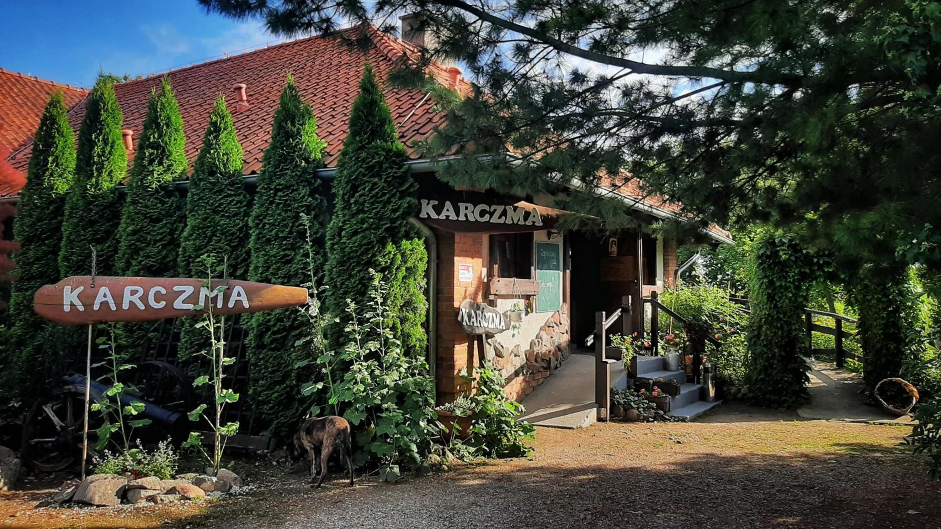 Photo 107