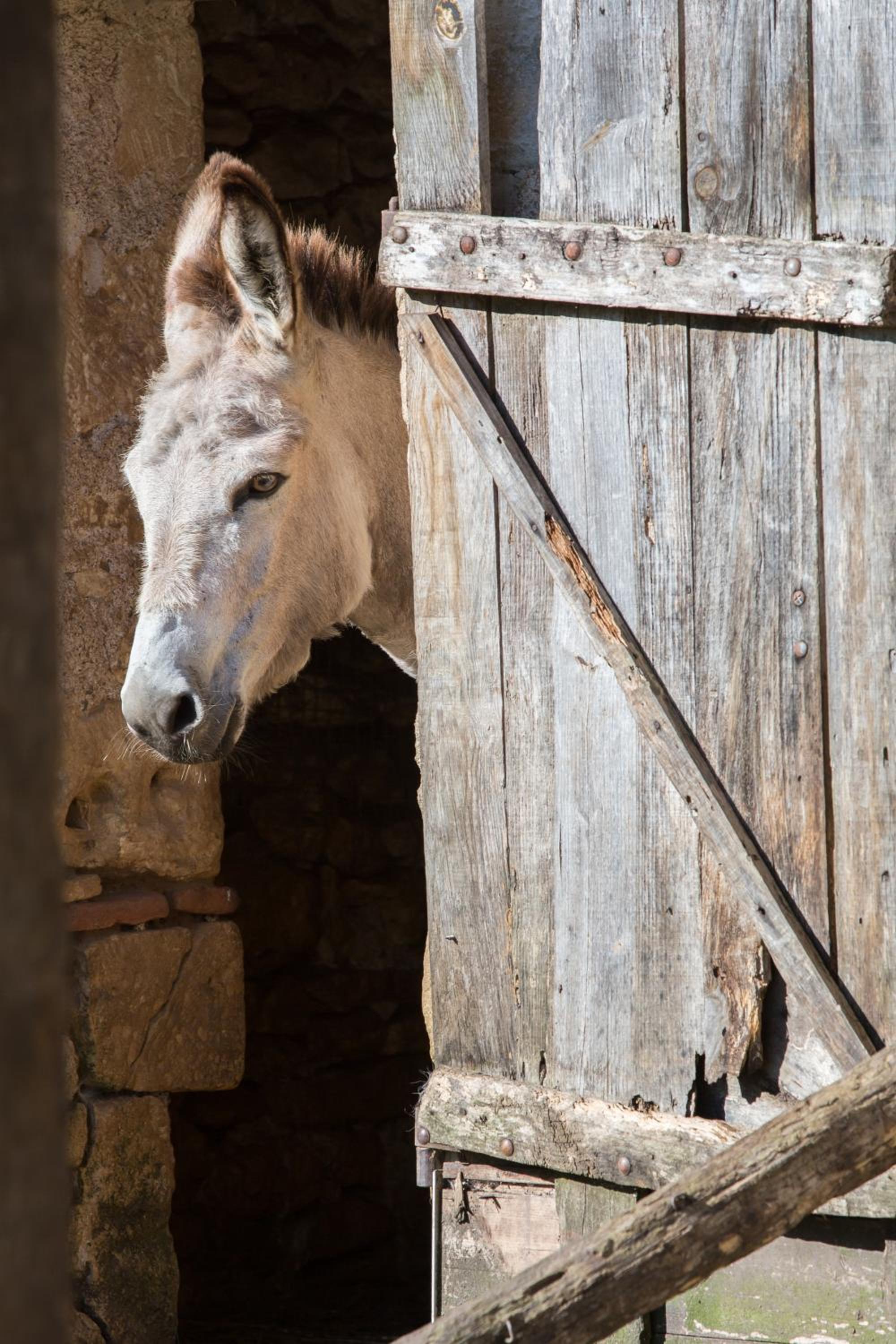 La Ferme de Perdigat — 13