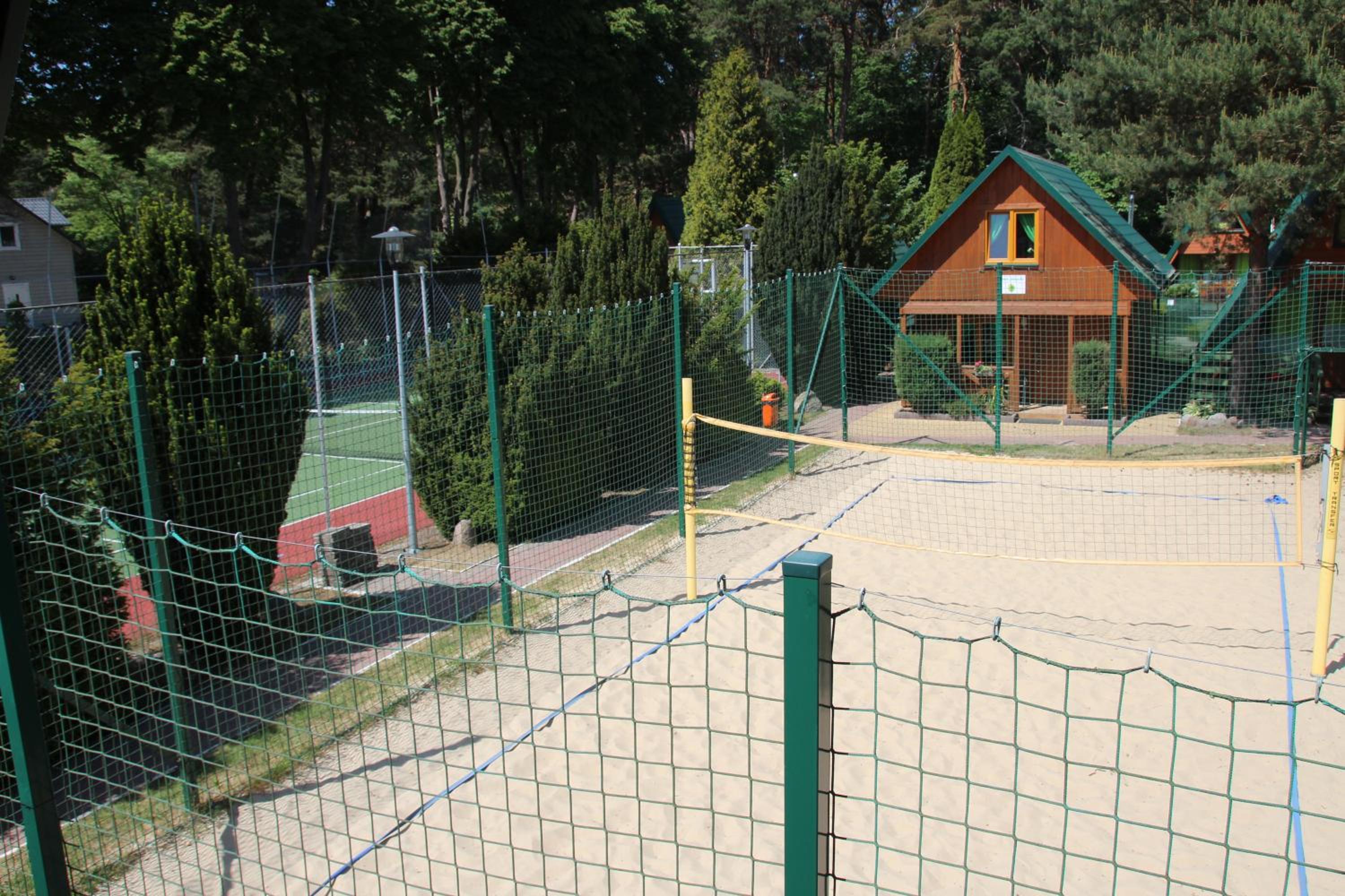 Photo 46