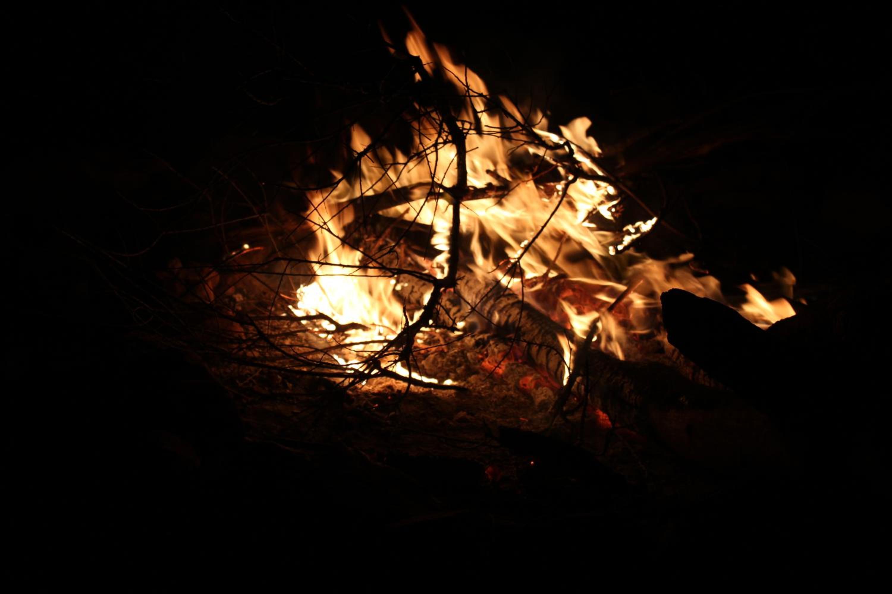 Photo 18