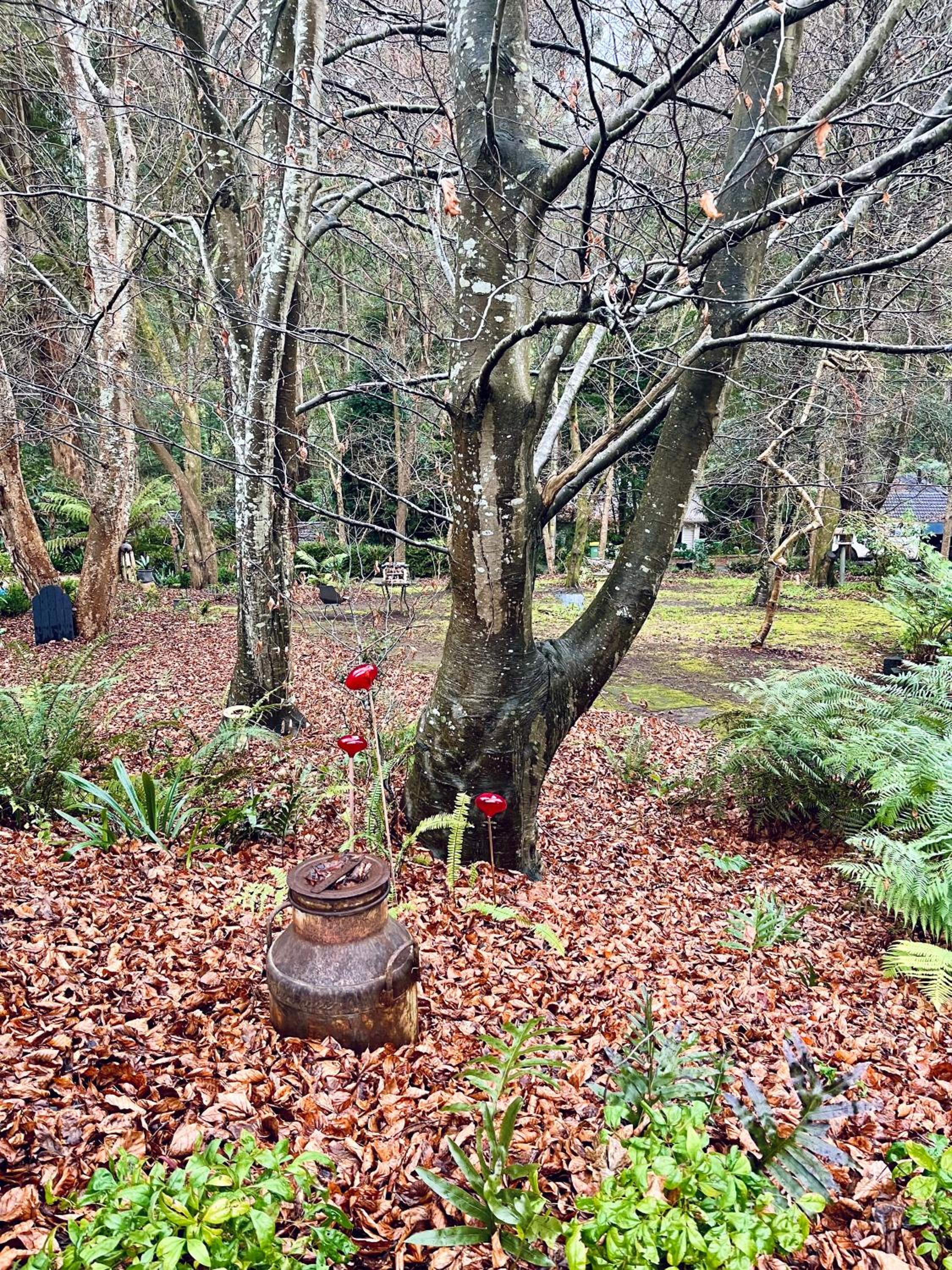 The Beeches Olinda Accommodation