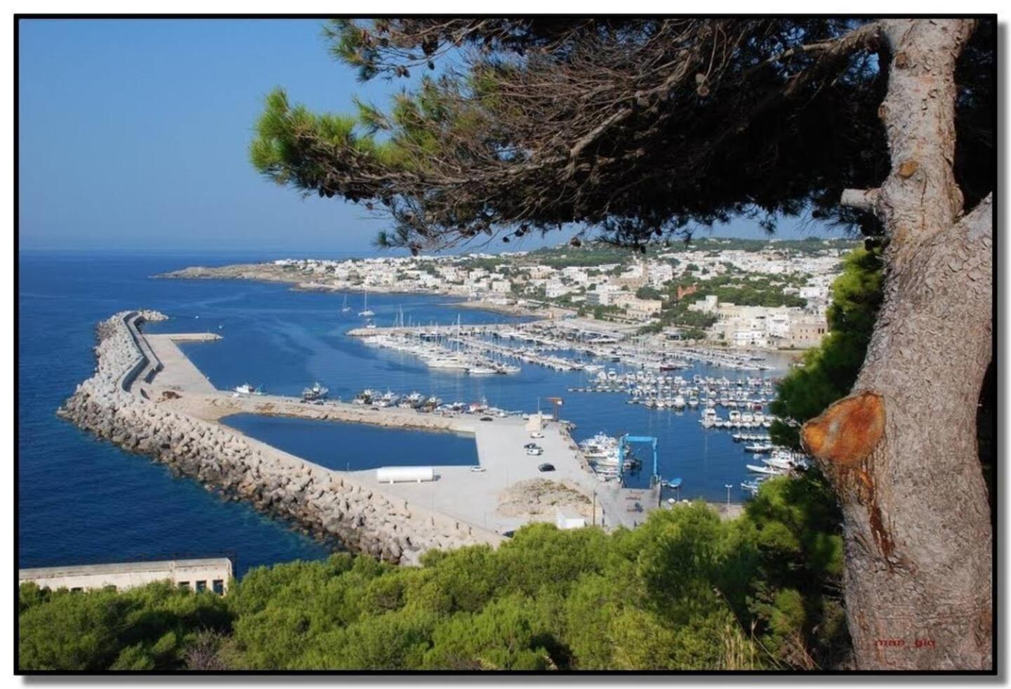 La payara di nonna nina view 3