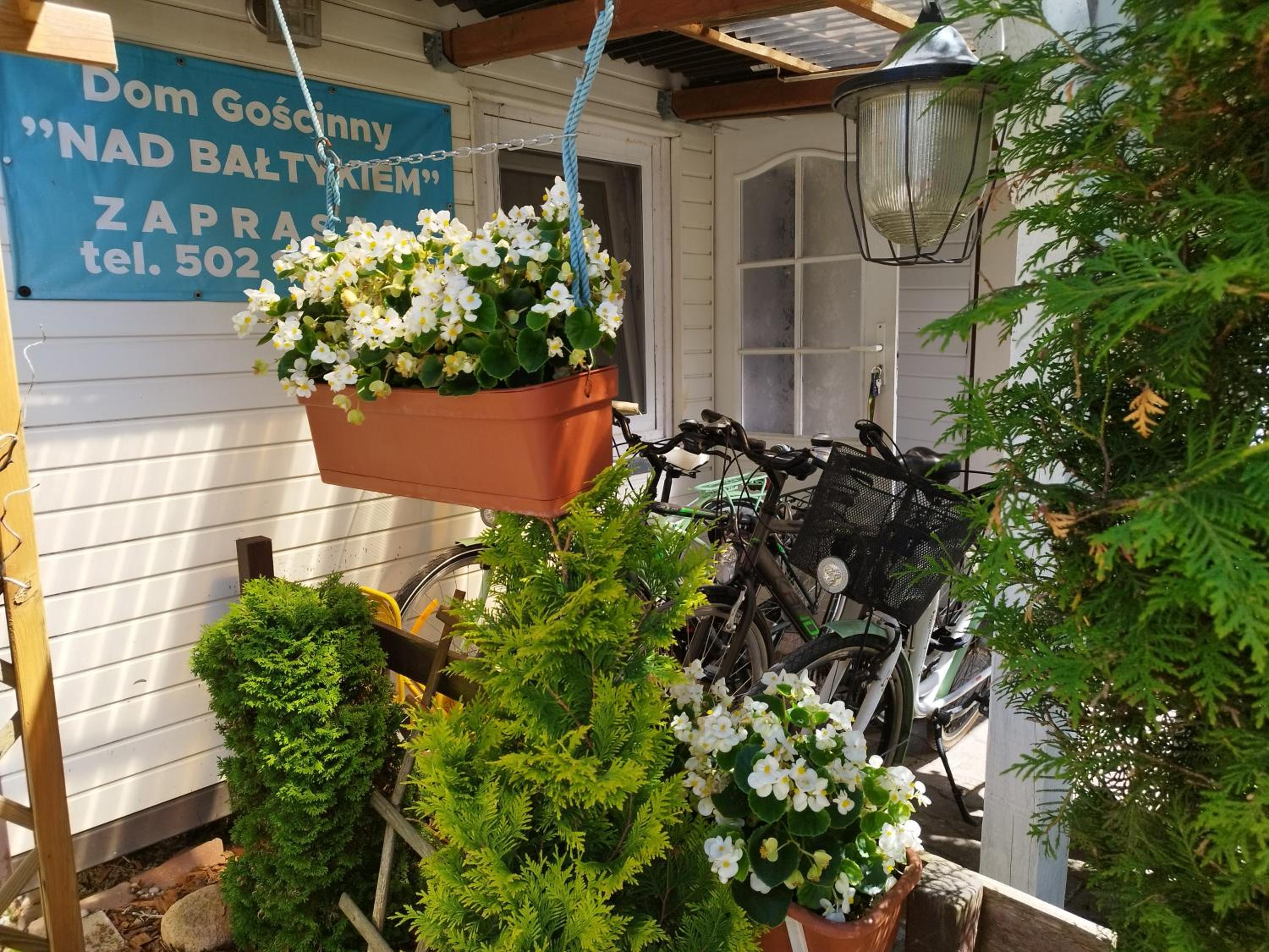 Photo 46