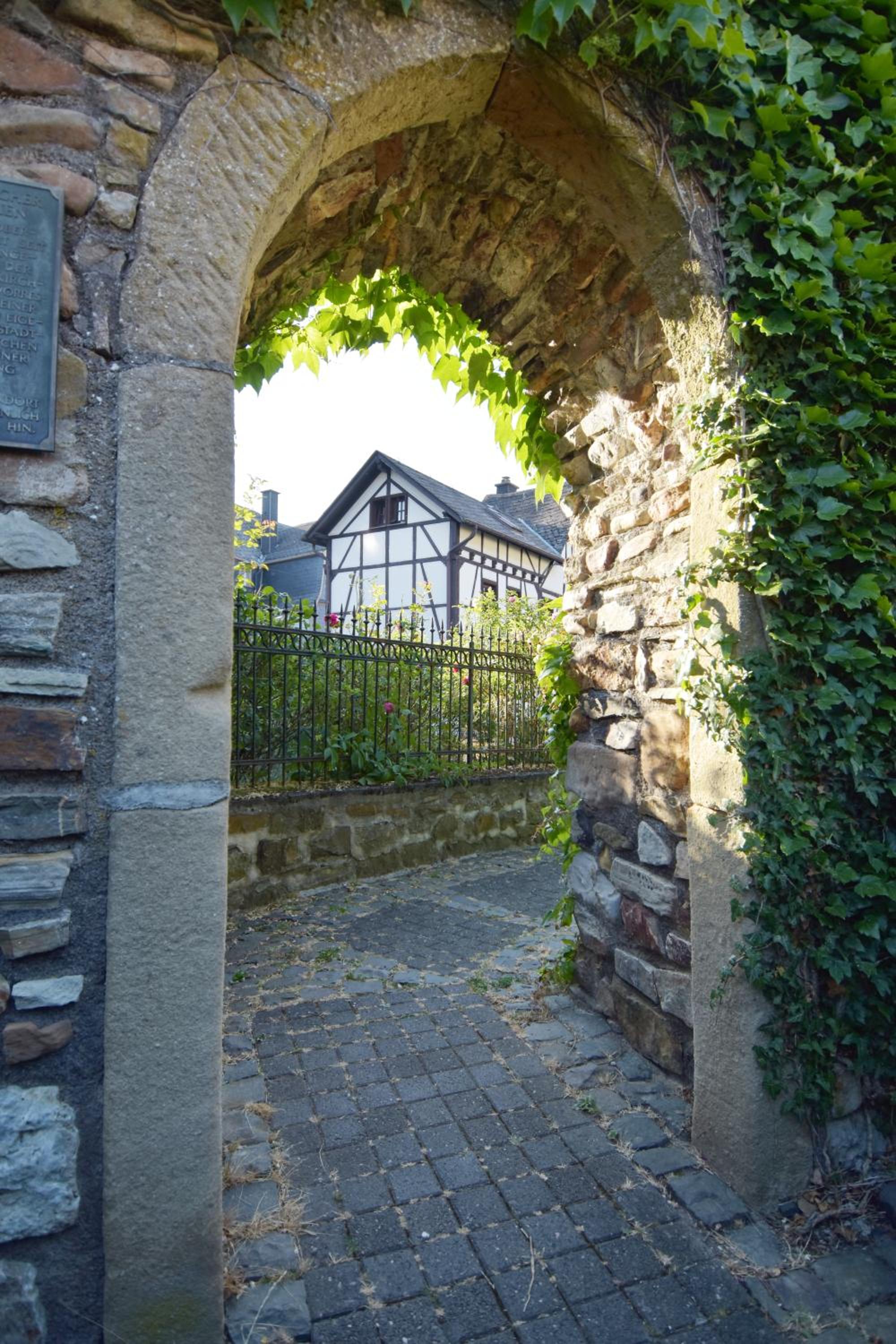 Photo 23