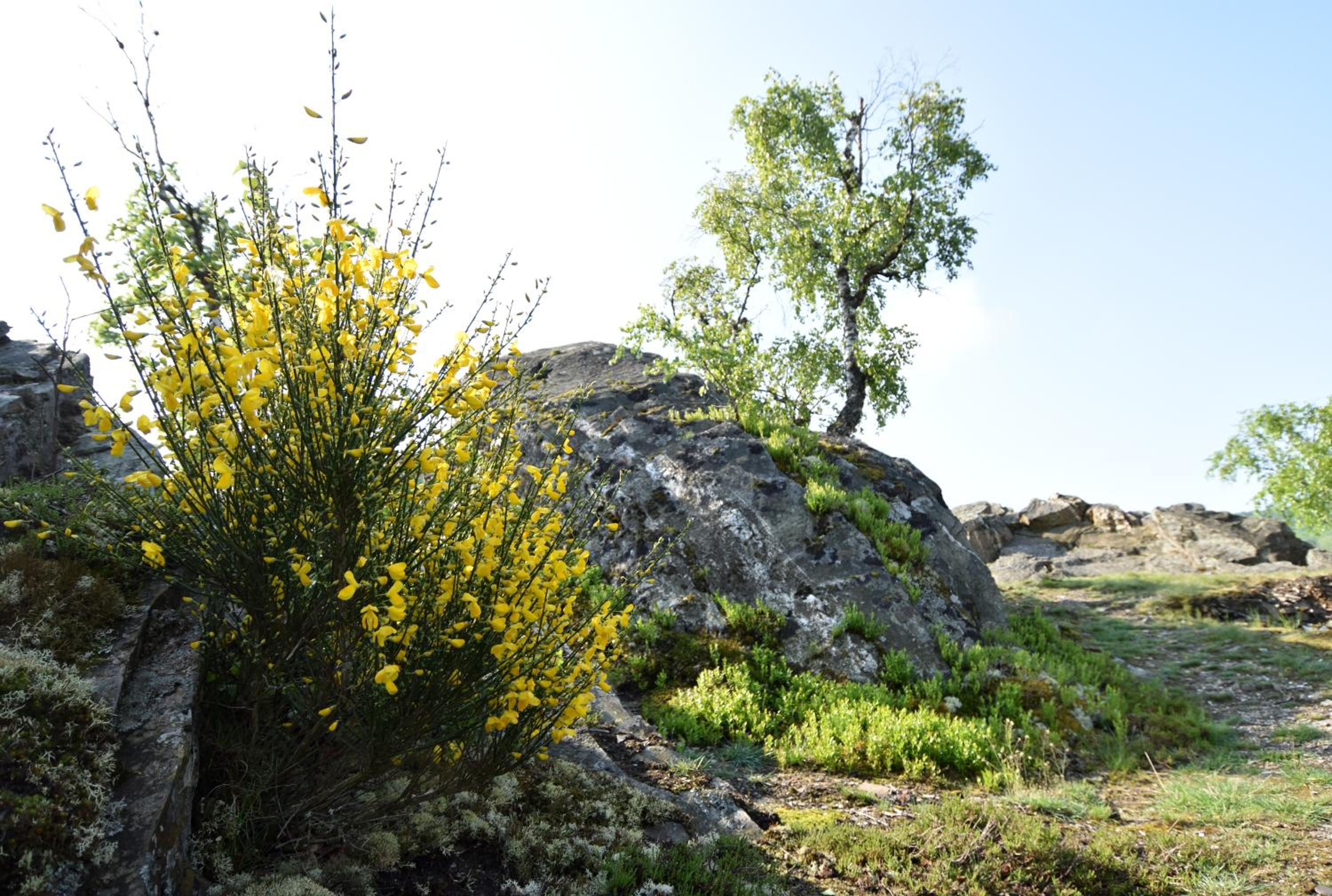 Photo 24