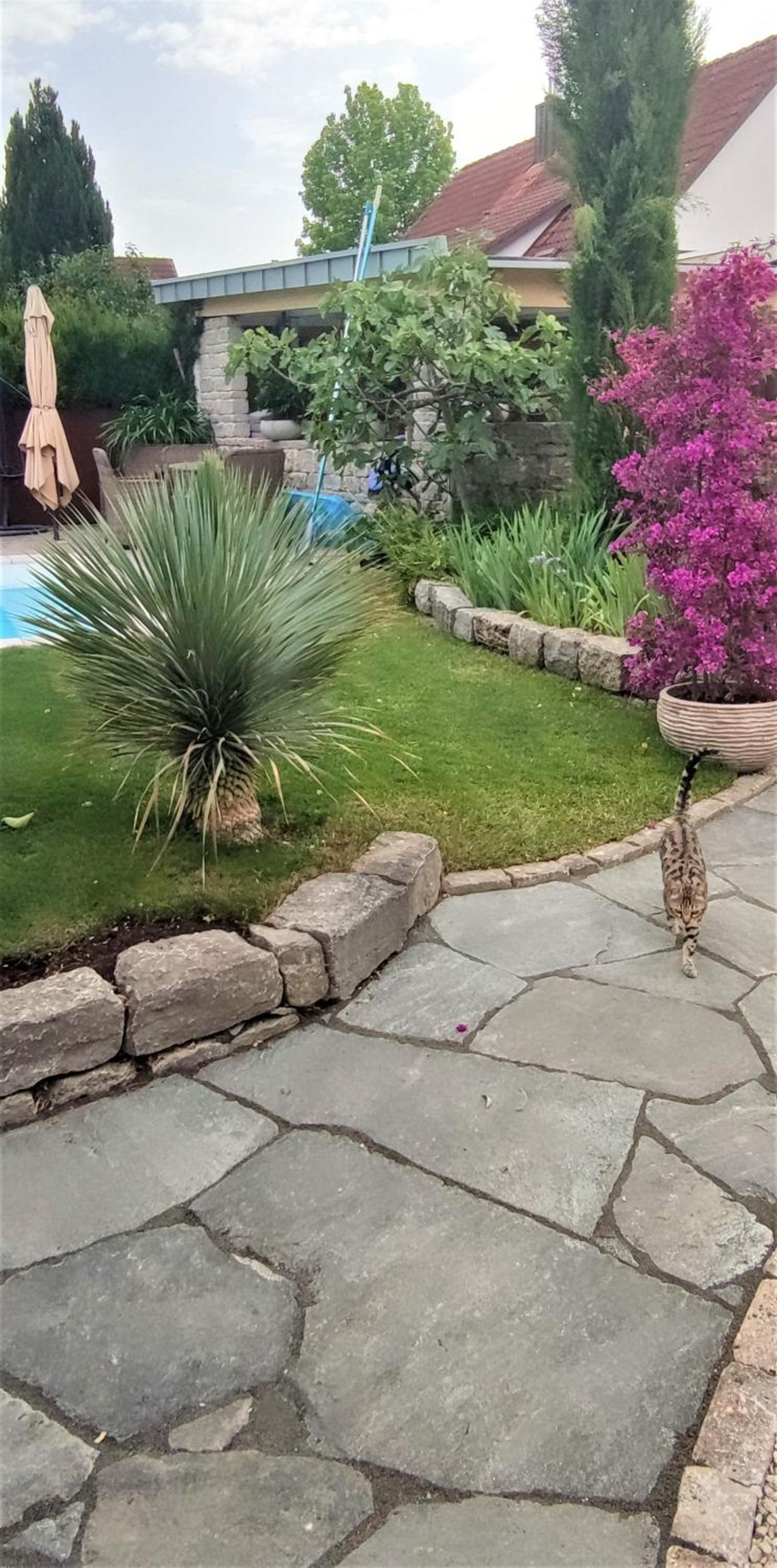 Bel giardino