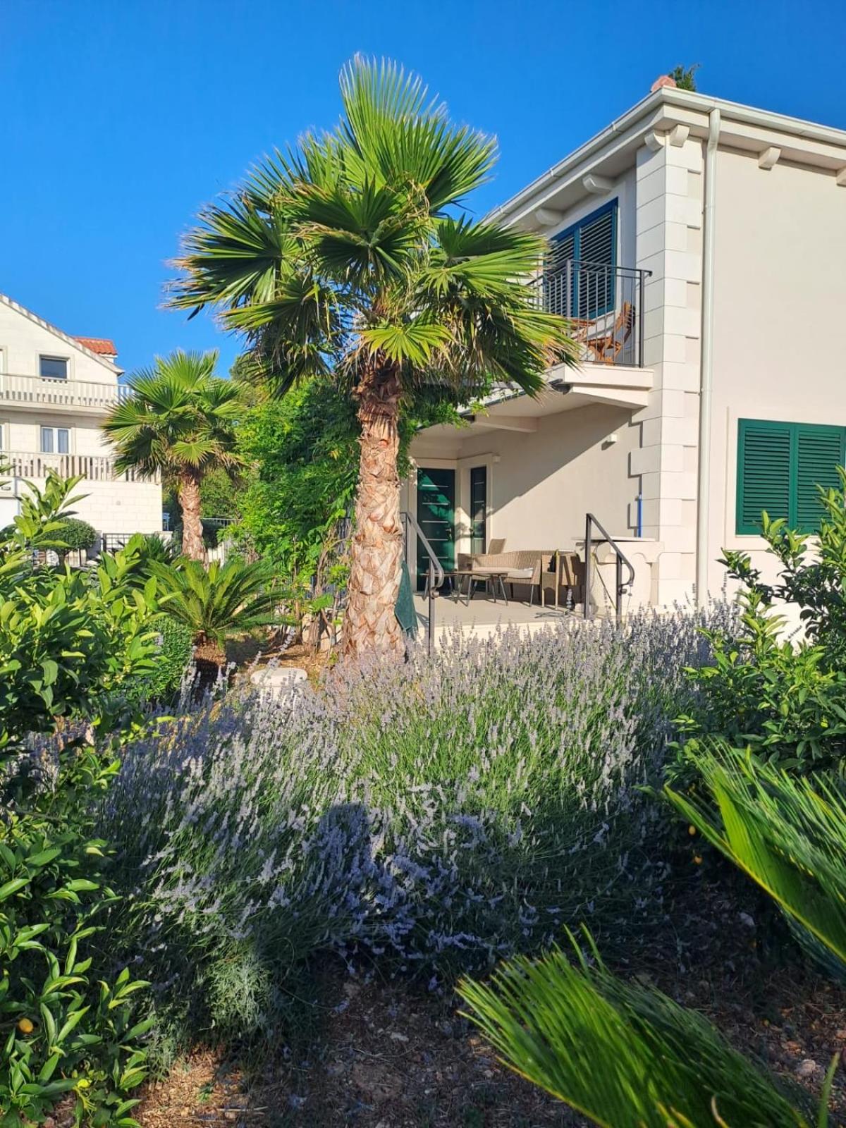 Villa Mária Marta