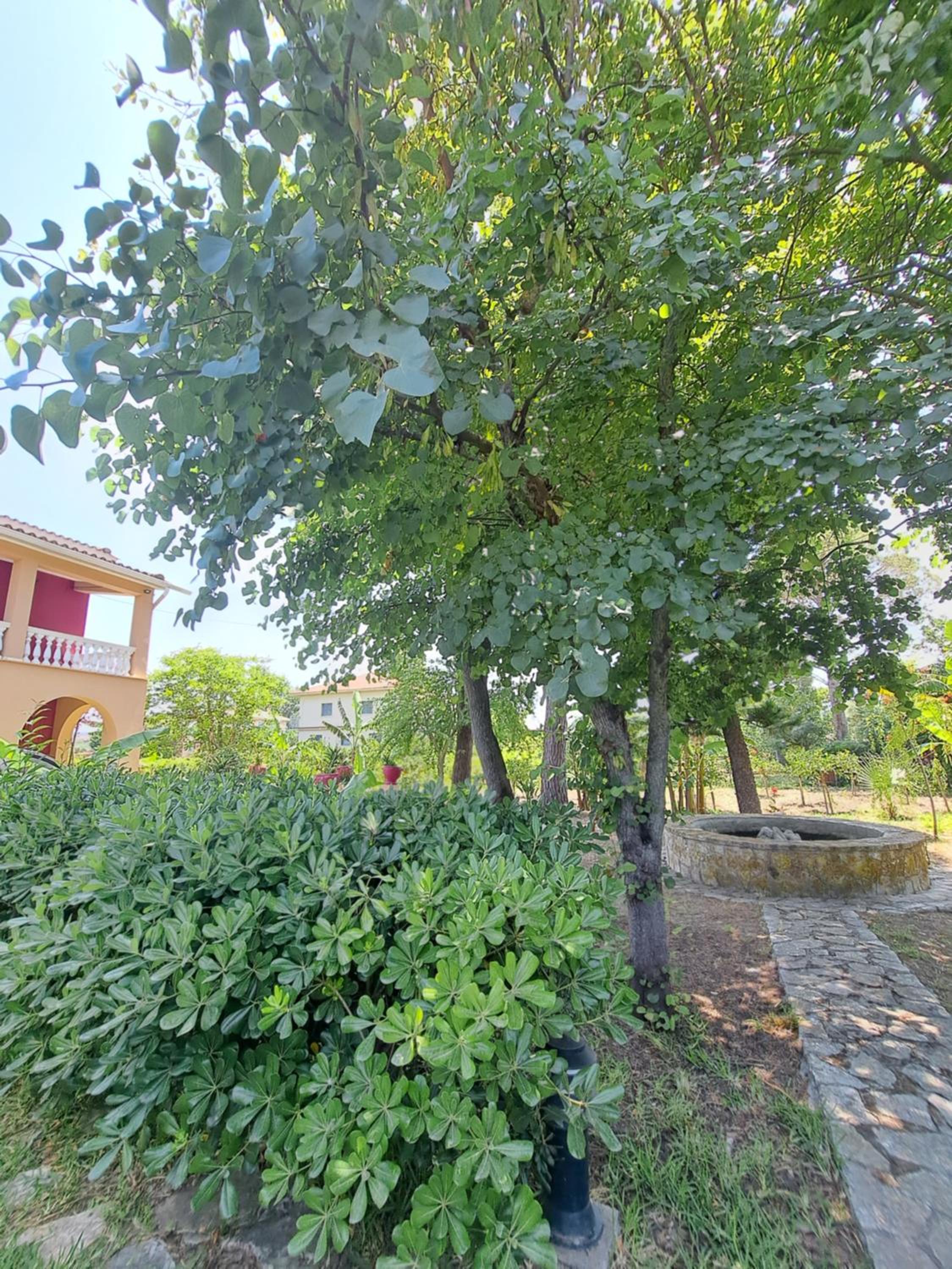 Villa Selini photo 5