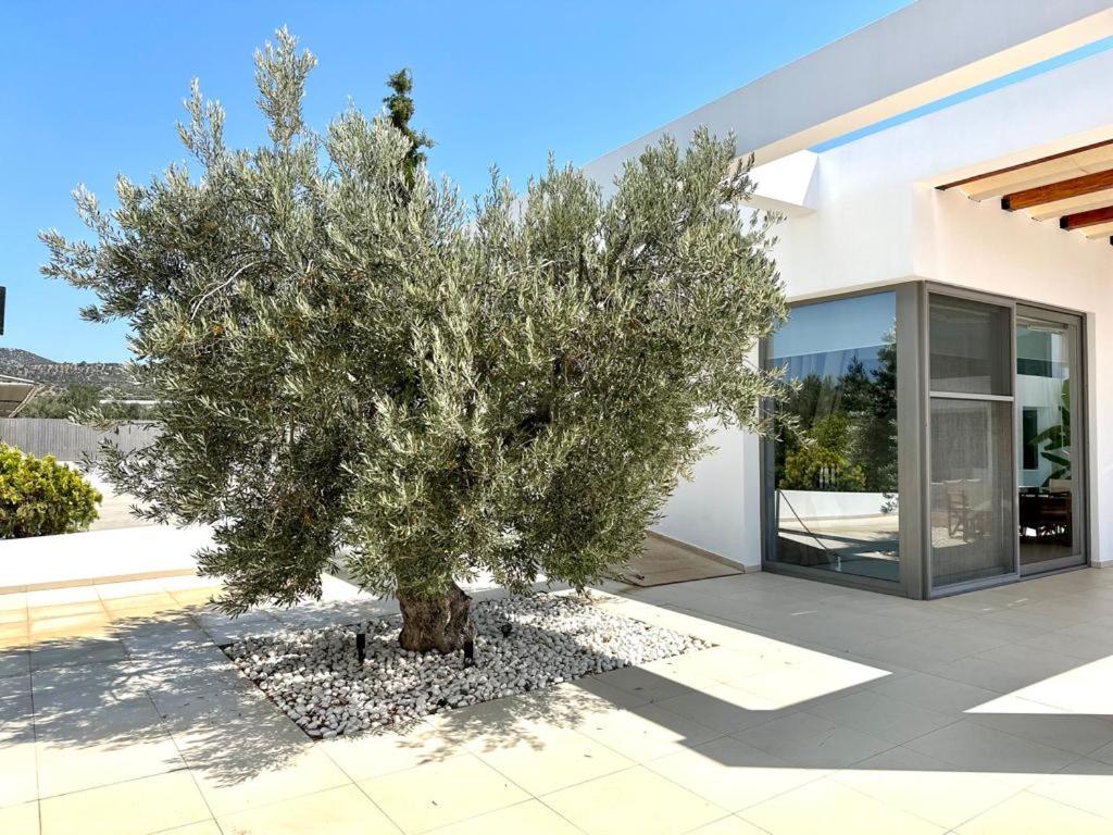 Translated Hotel Name LeBlanc Luxurious Beachfront Villa, GcollectionGr view 2